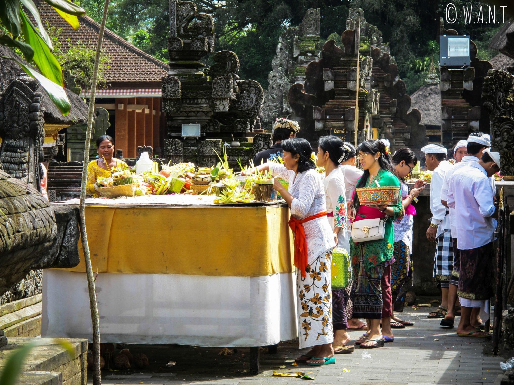 Offrandes au temple de Tirta Empul à Bali