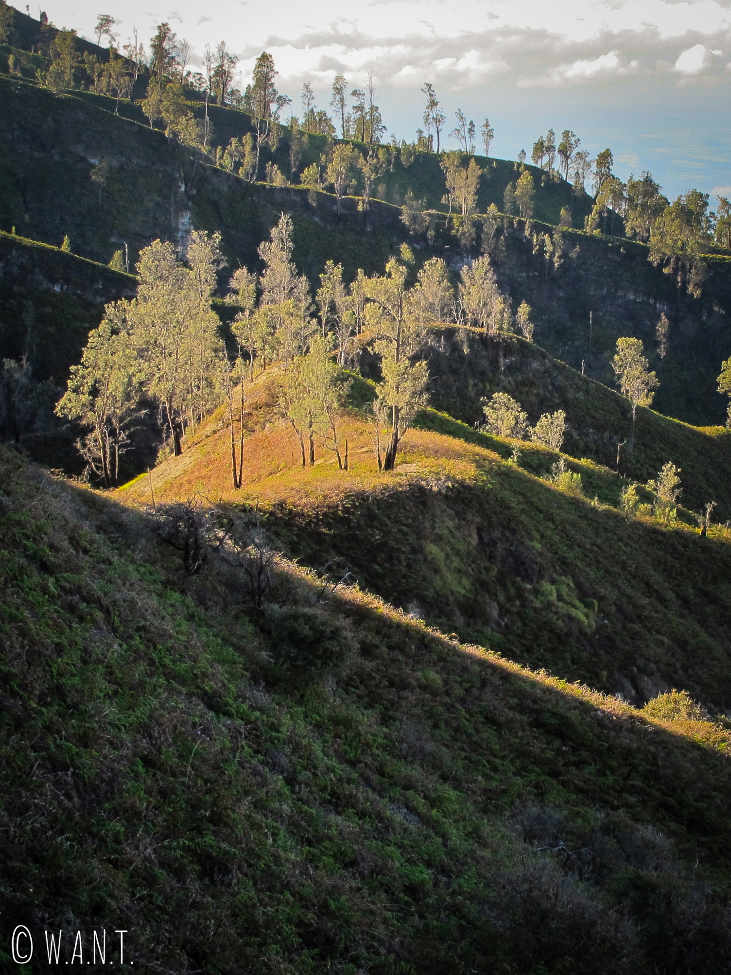 Paysage le long du chemin menant au cratère du Kawah Ijen