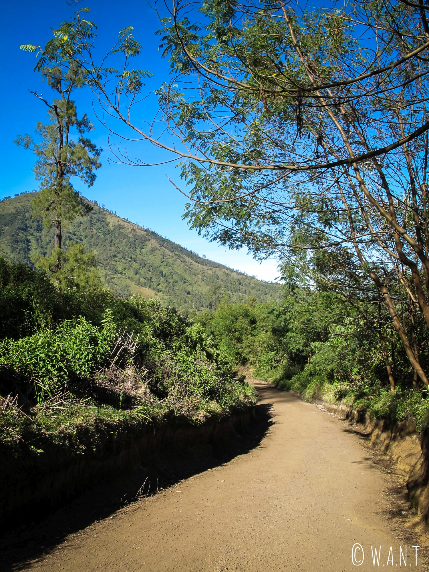 Sentier menant au cratère du Kawah Ijen