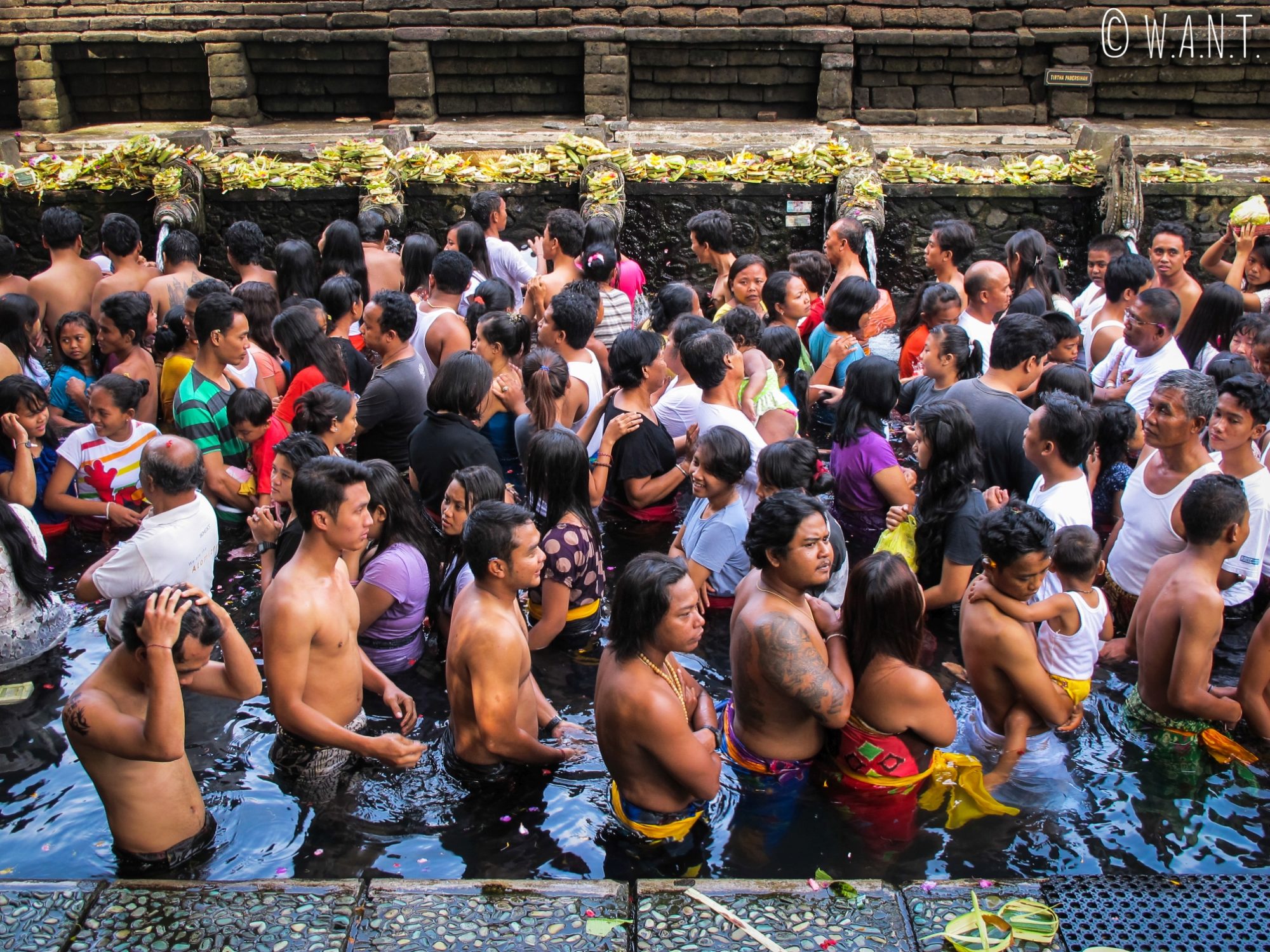 Sources sacrées de Tirta Empul à Bali
