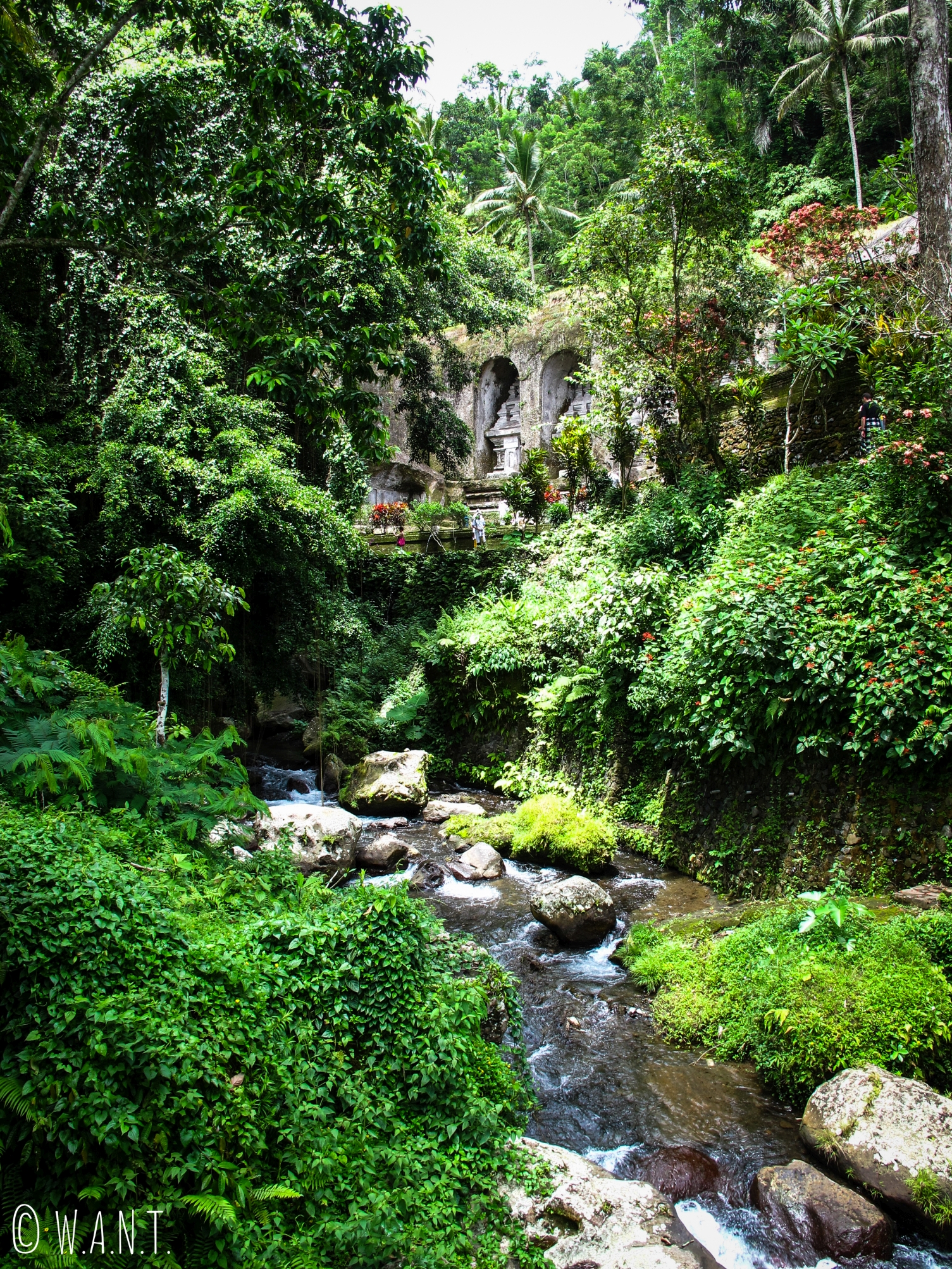 Vue sur les tombeaux de Gunung Kawi à Bali à travers la végétation