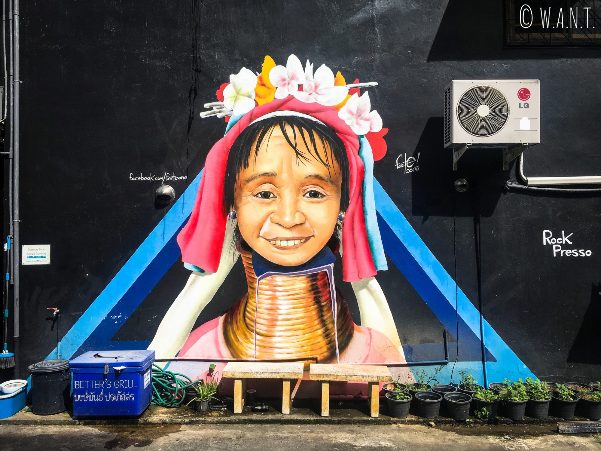 Art de rue représentant une femme girafe à Chiang Mai