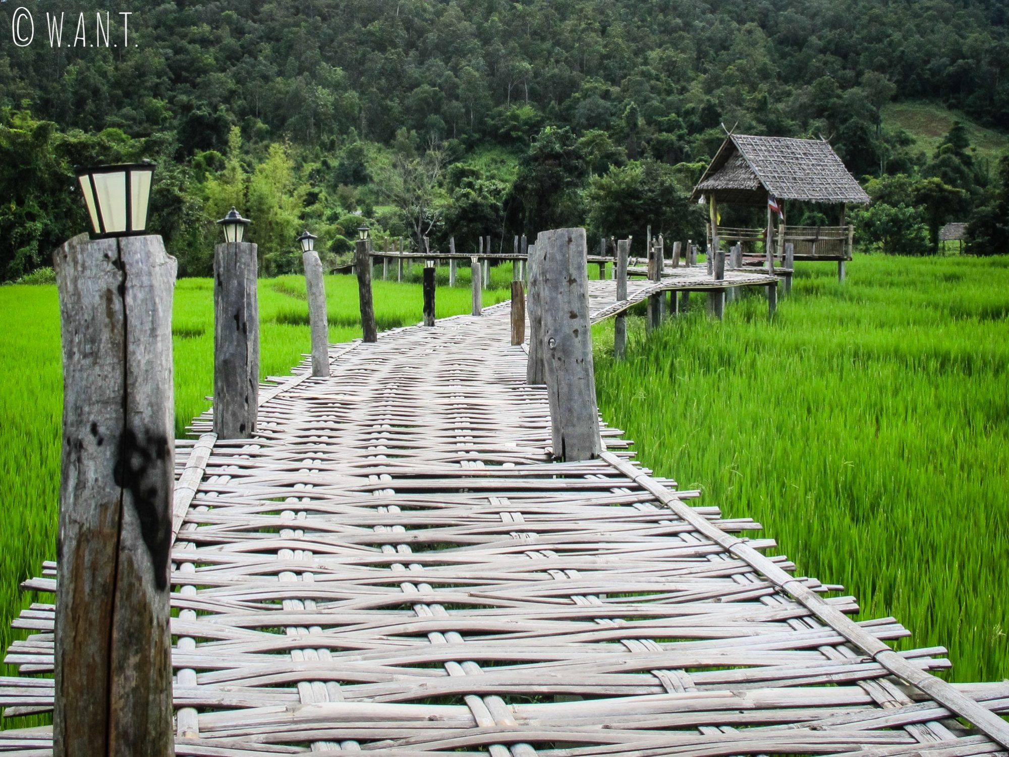 Des petites cabanes installées le long du Bambou Bridge de Pai permettent de comtempler le paysage