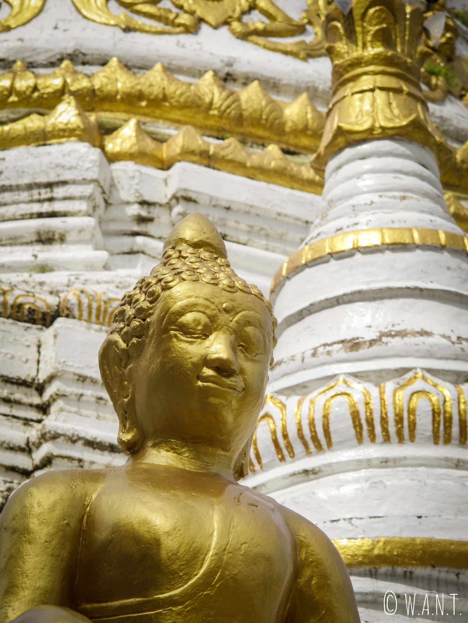 Gros plan sur une statue de Bouddha du Wat Luang de Pai