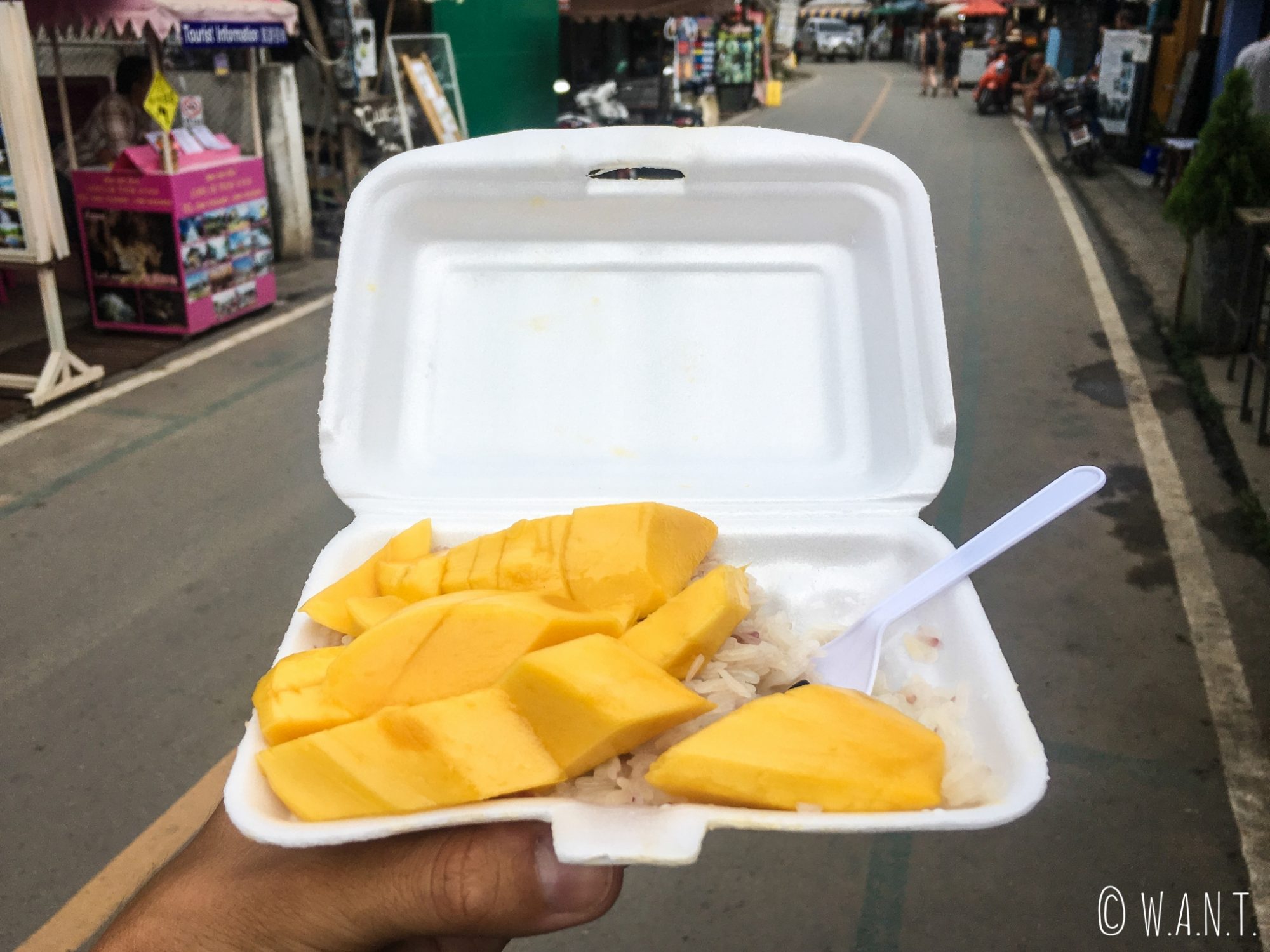 Mango sticky rice dégusté dans les rues de Pai