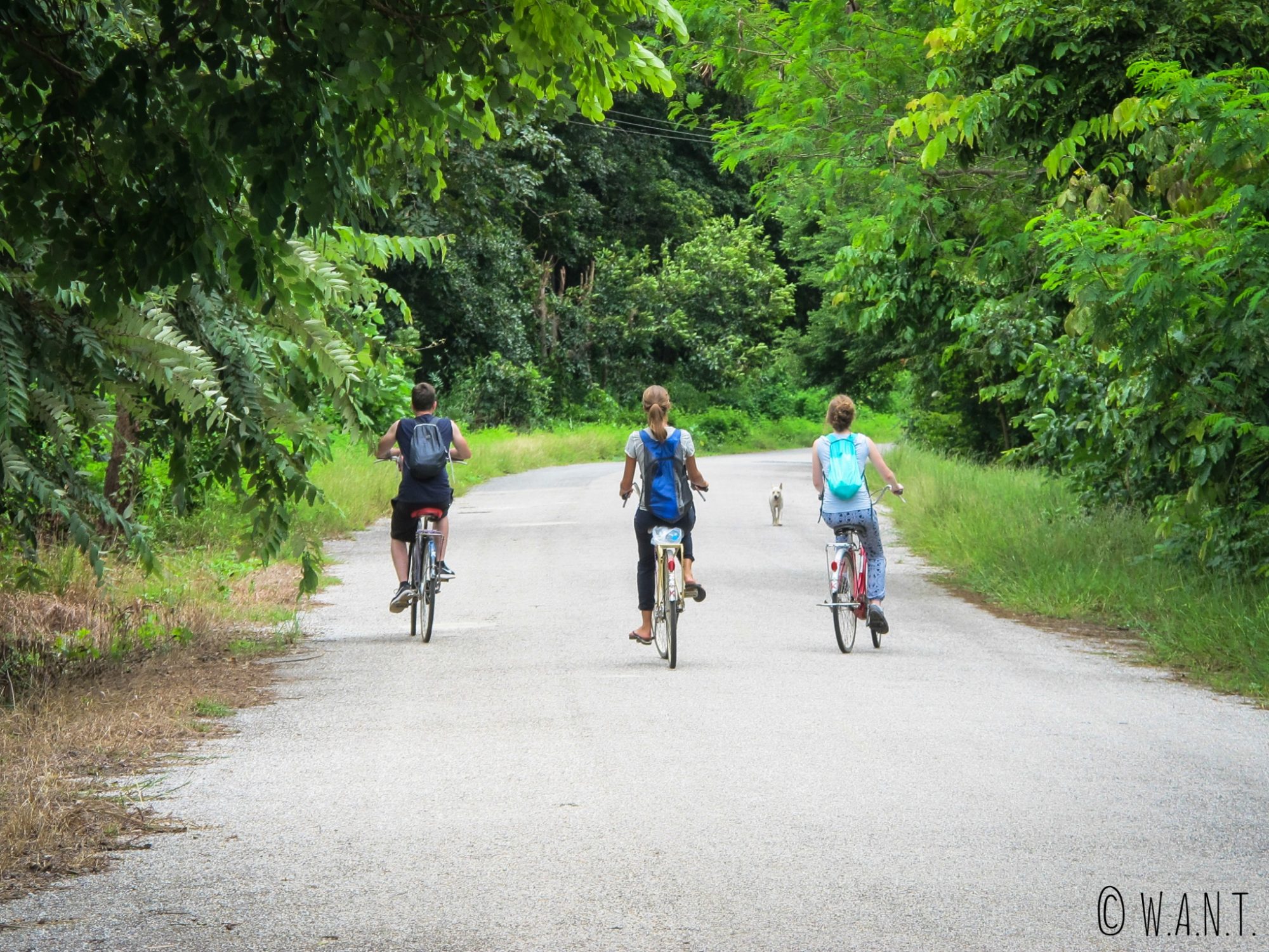 Margaux, Marion et Thomas en vélo dans le parc historique de Sukhothai