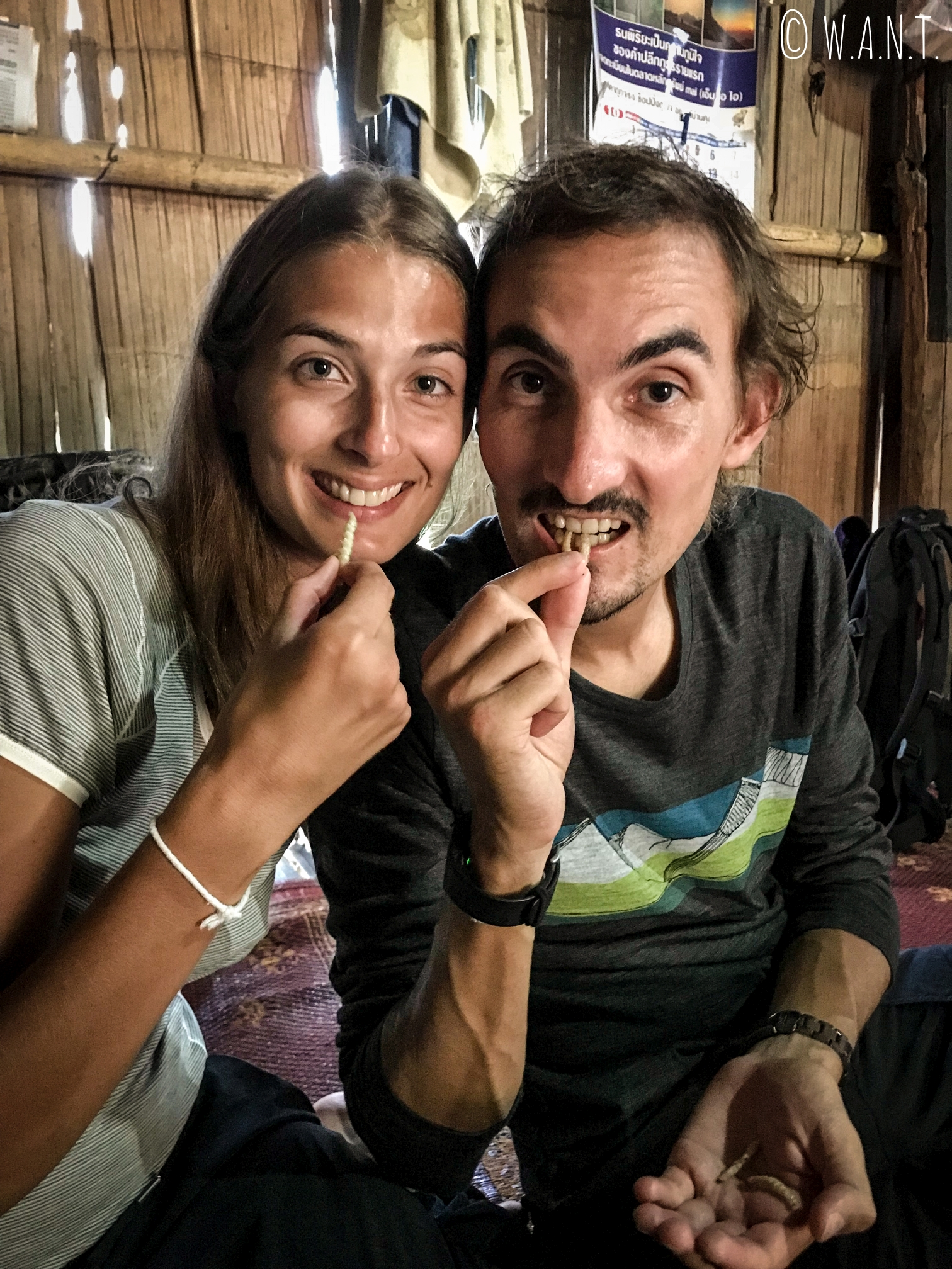 Nouveau défi réalisé, nous avons mangé des insectes en trek à Chiang Rai