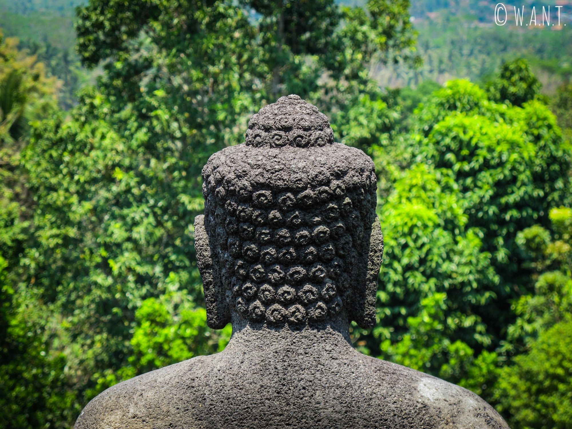 Statue de dos de Bouddha au temple de Borobudur