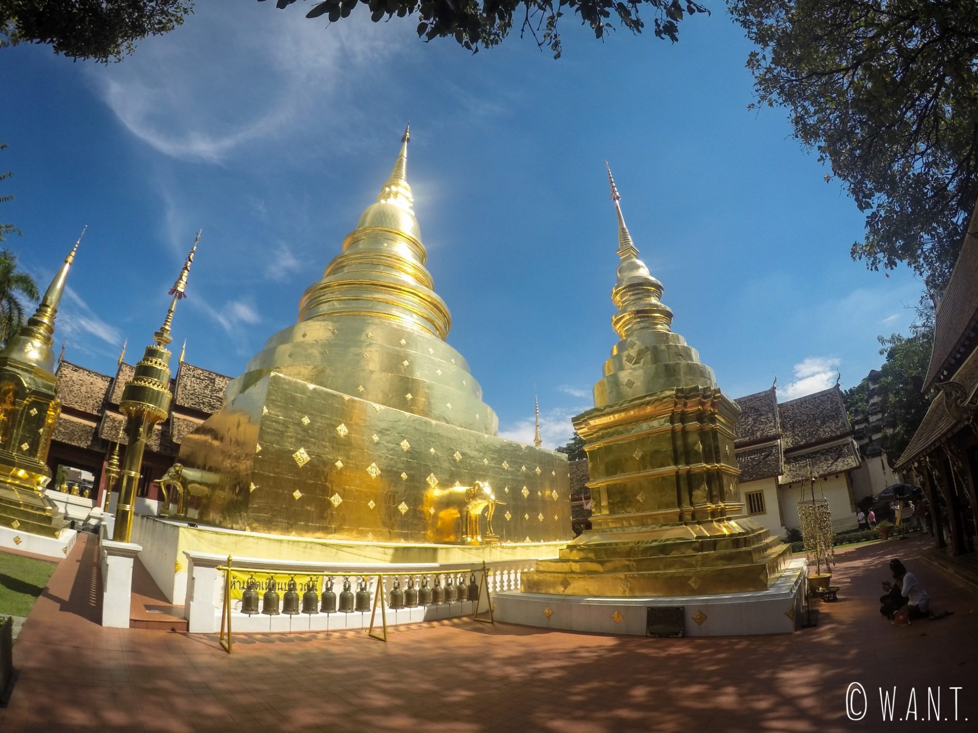 Stupas dorés du Wat Phra Singh à Chiang Mai
