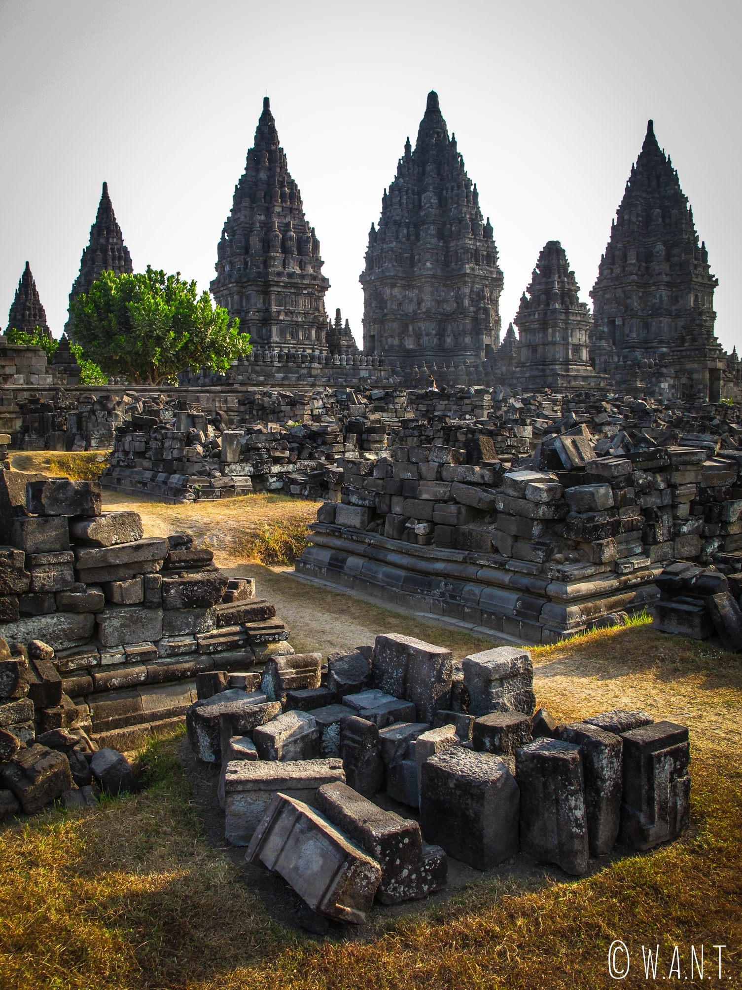 Une majorité des temples de l'ensemble de Prambanan ont été détruits
