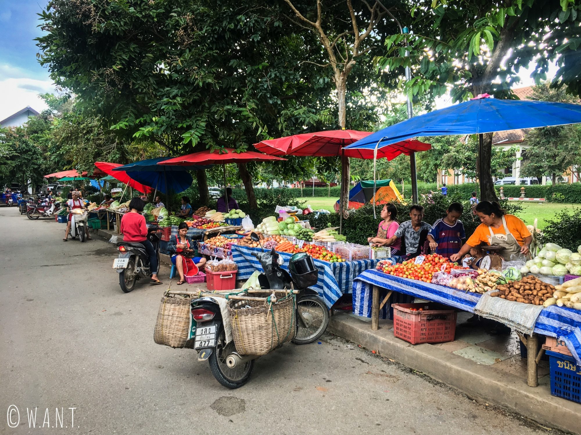 Étals de fruits et légumes du marché local de Pai