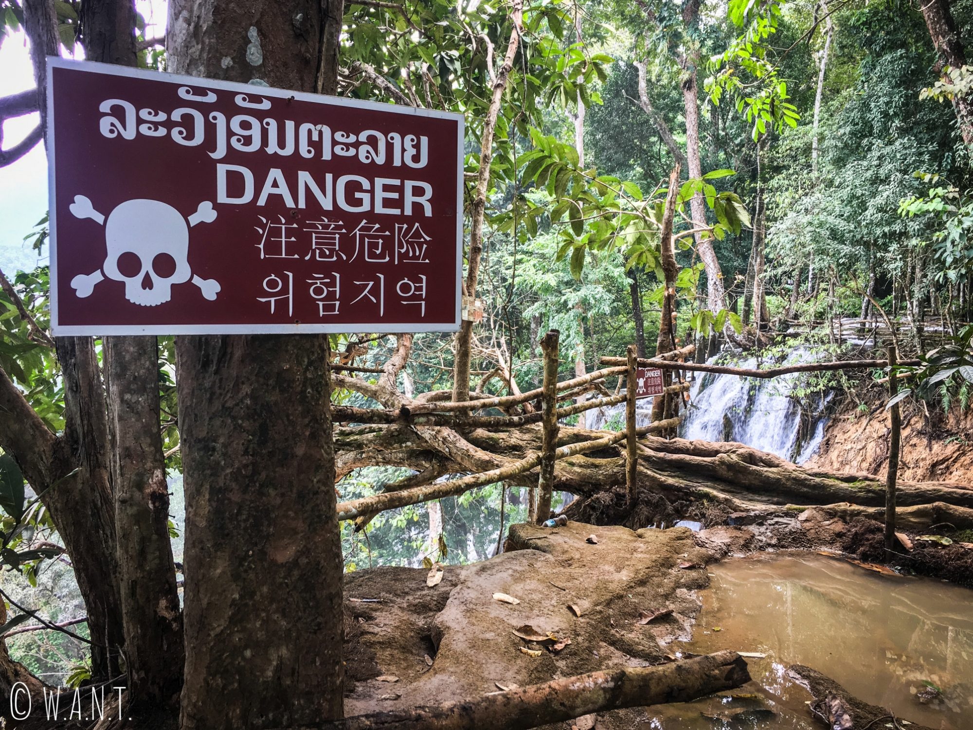 Certains bassins de la cascade Kuang Si de Luang Prabang sont interdits à la baignade