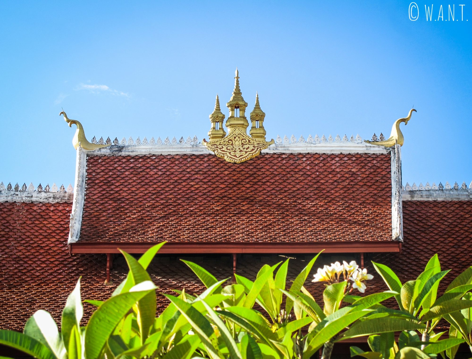 Gros plan sur le toit du Wat Mai de Luang Prabang