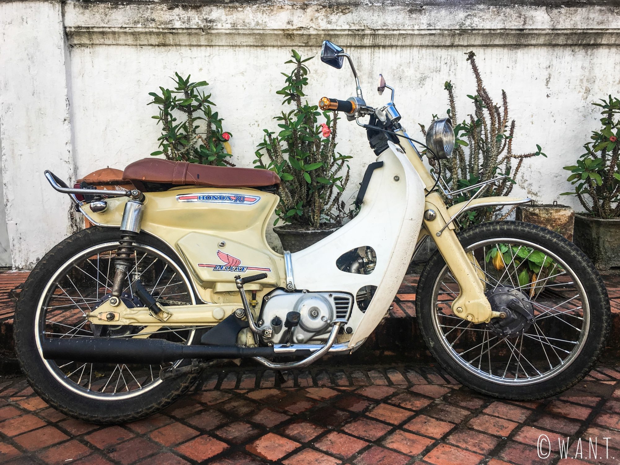 Honda Super Cub Deluxe dans les rues de Luang Prabang
