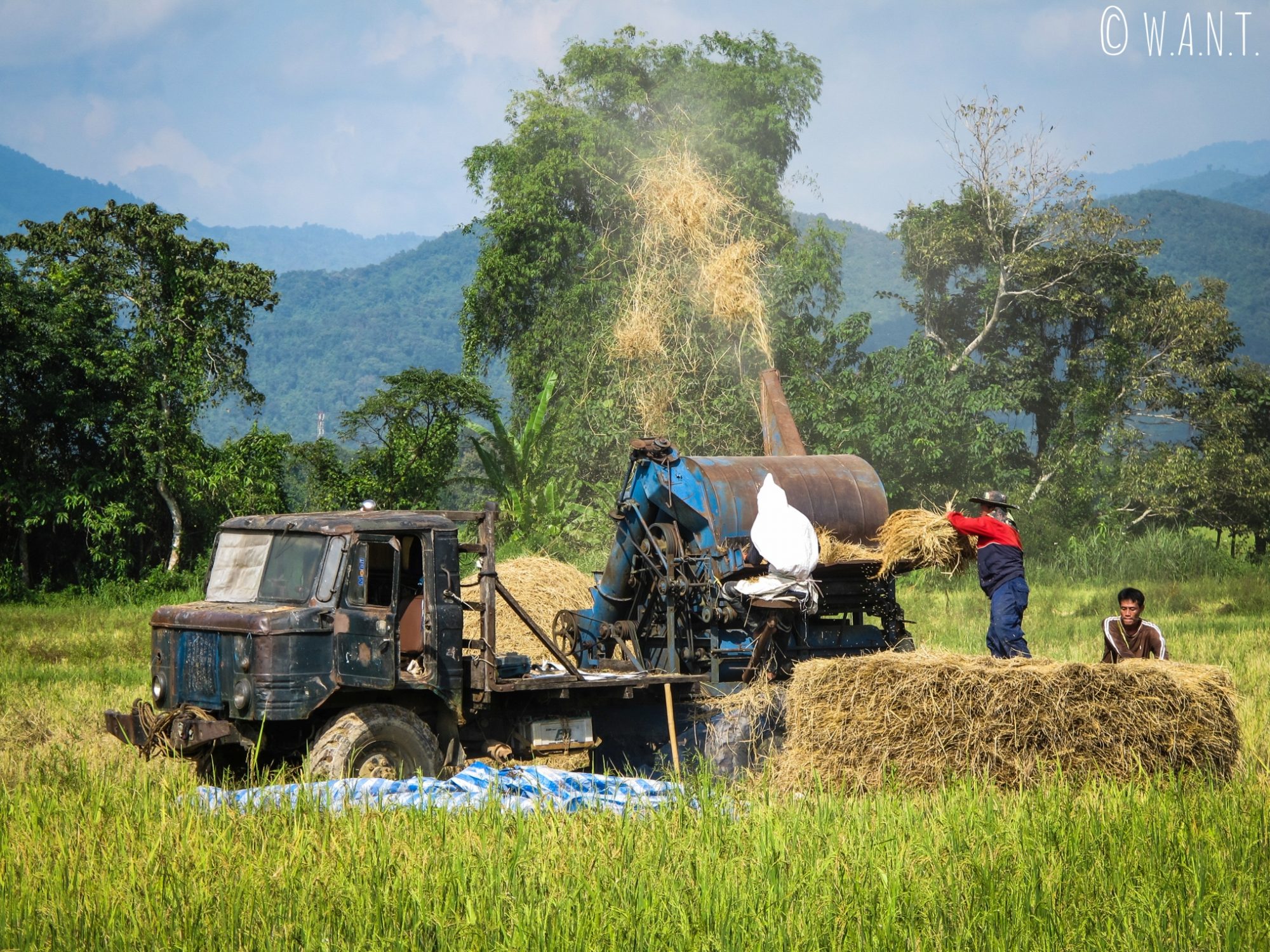 Machine agricole dans les rizières de Vang Vieng