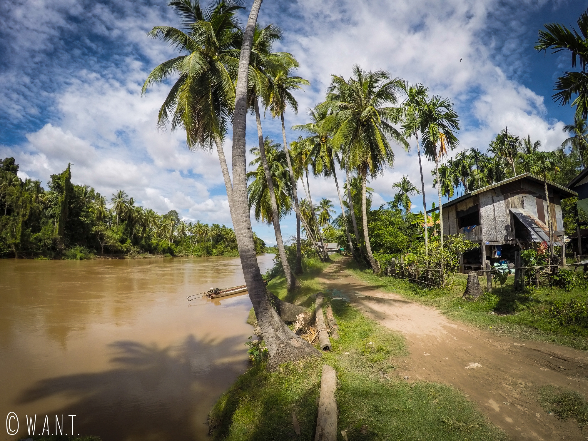Palmiers et maison sur pilotis sur l'île de Don Khon