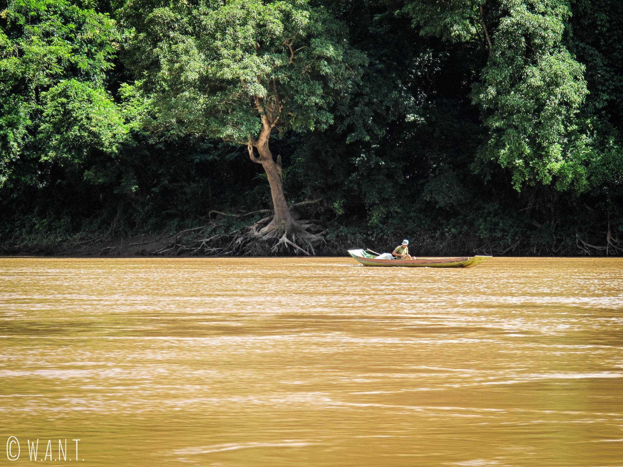 Pêcheur sur la rivière Nam Ou près de Nong Khiaw