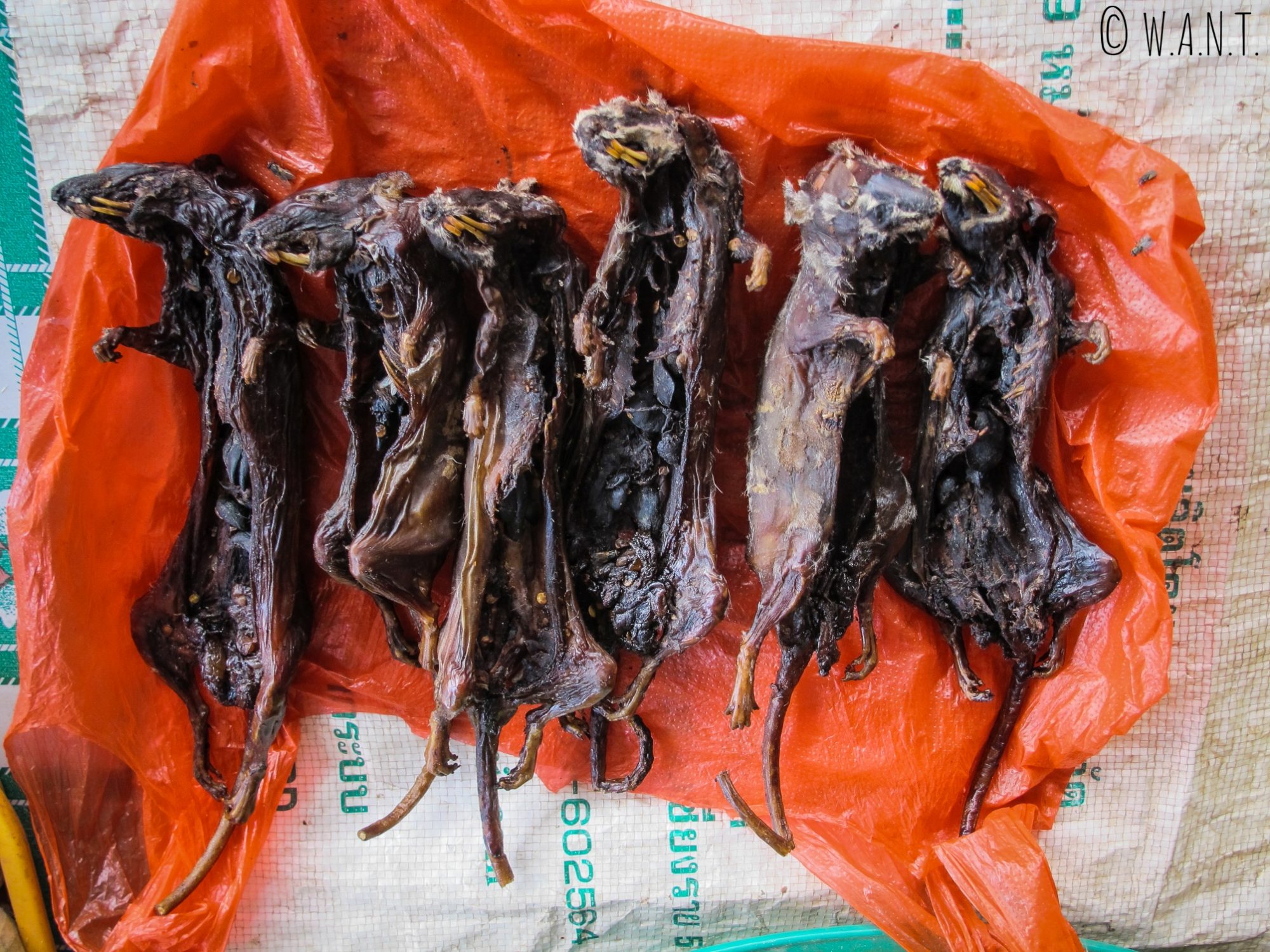 Rats séchés vendus au marché de Muang Sing
