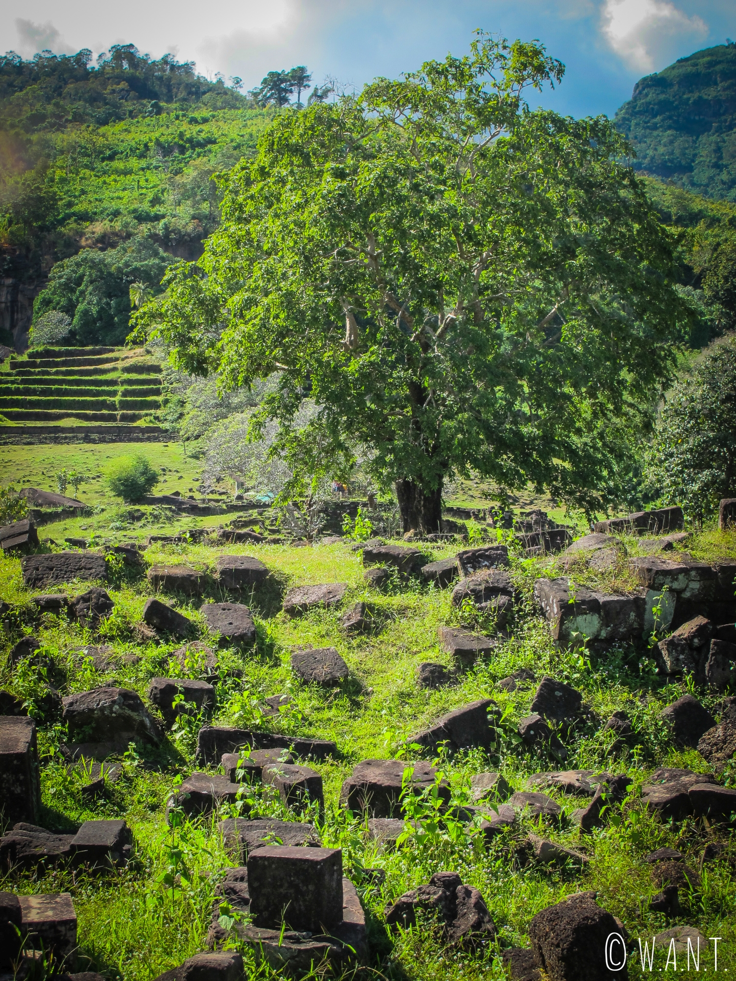 Ruines du site Unesco Vat Phou