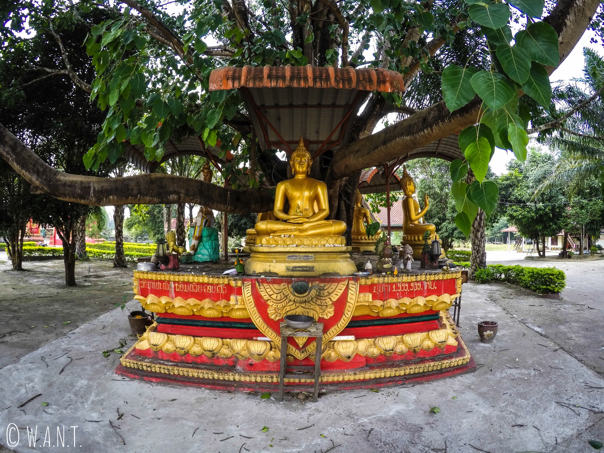 Statues de Bouddha au temple de Lak Sao