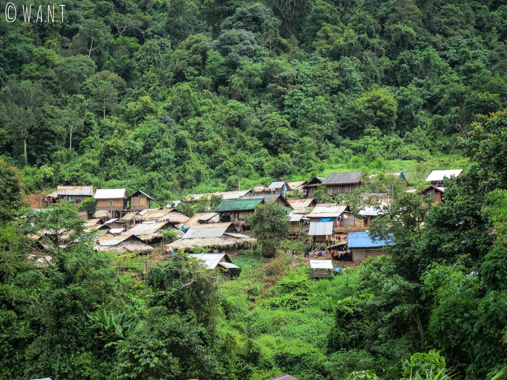 Village niché dans la végétation entre Luang Namtha et Muang Sing