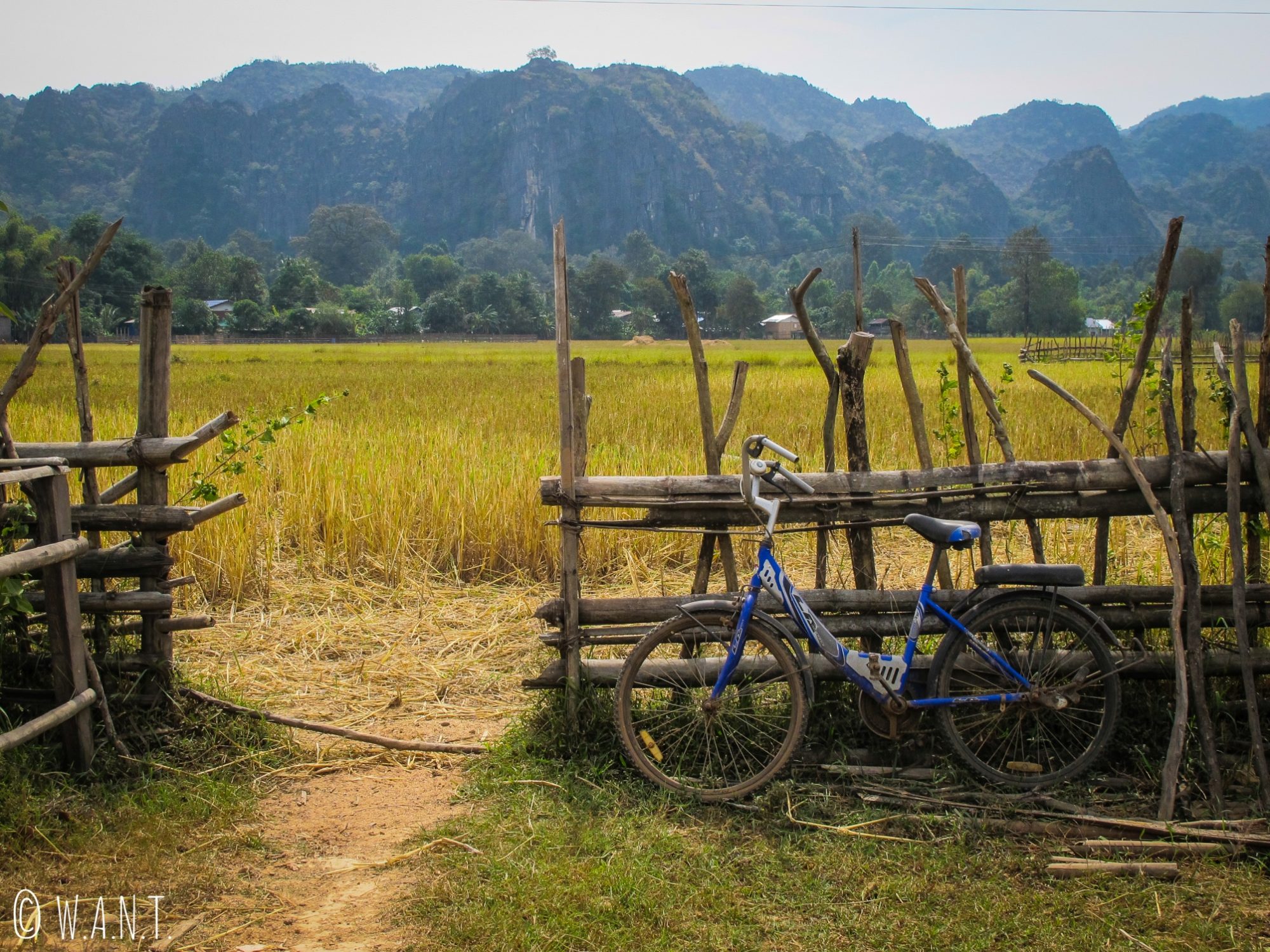 Vélo en bord de champs dans le village de Konglor