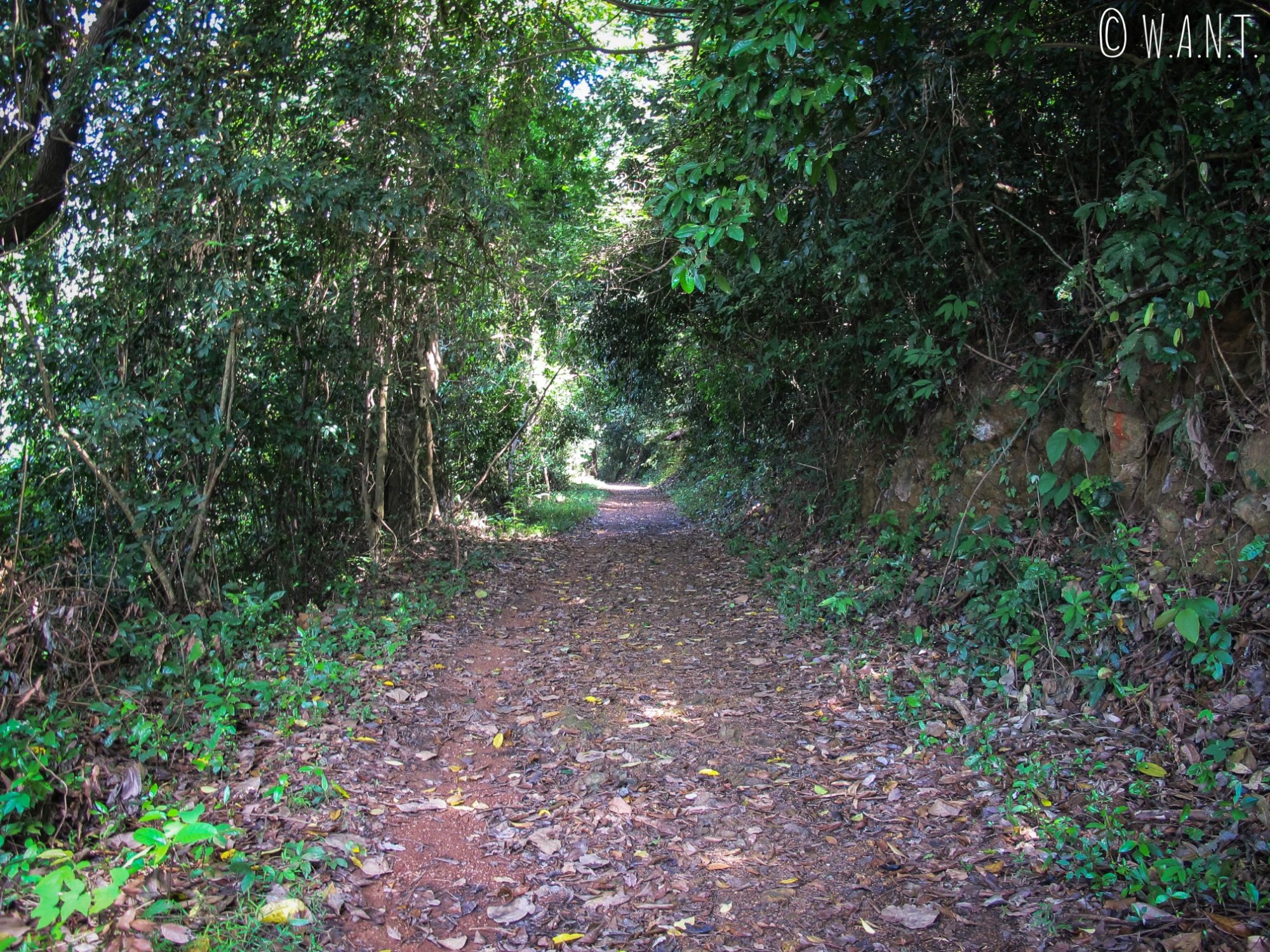 Chemin principal du Parc National de Kep
