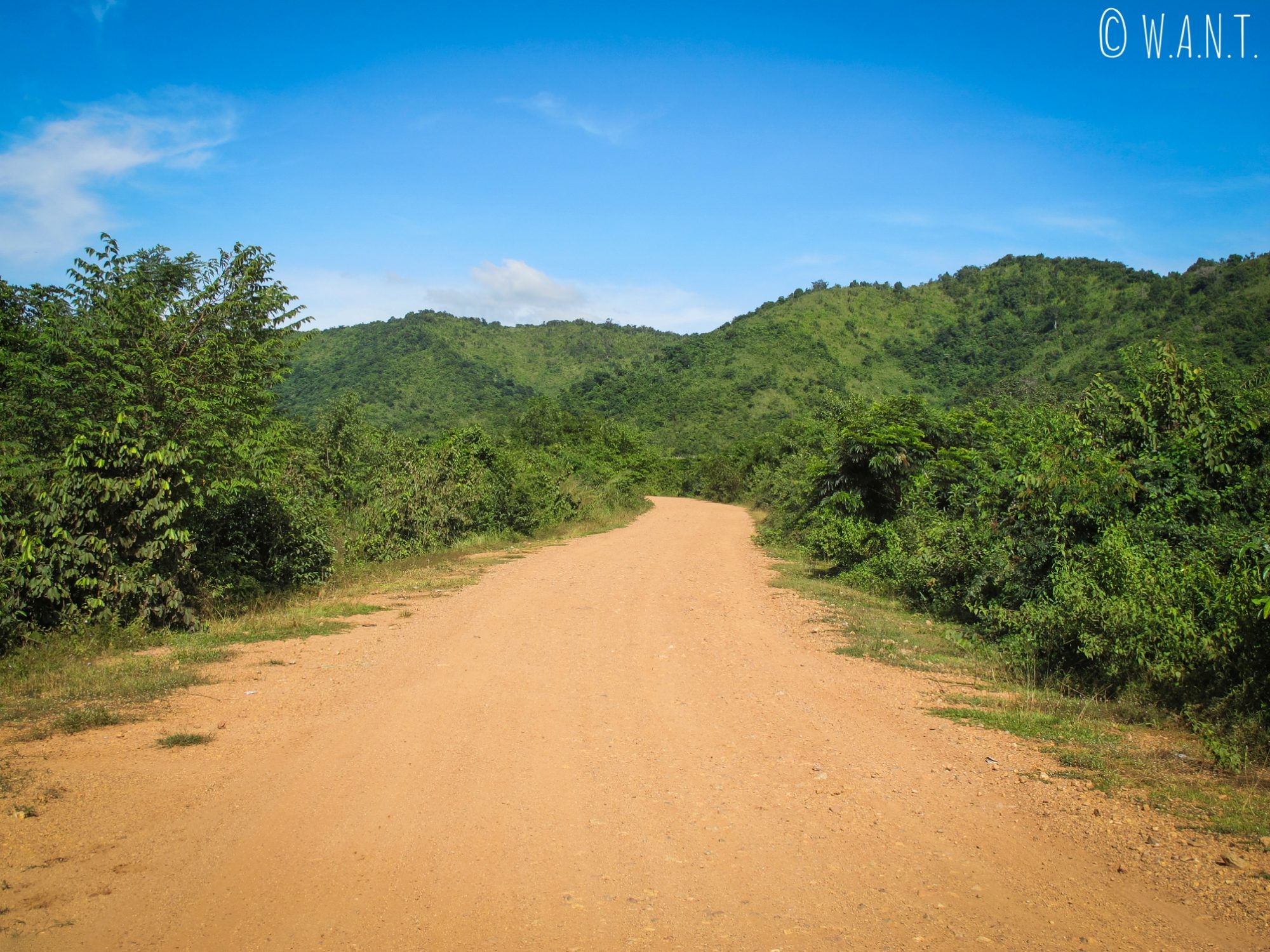 Chemin à travers la végétation pour accéder à la plantation de poivre de Kampot
