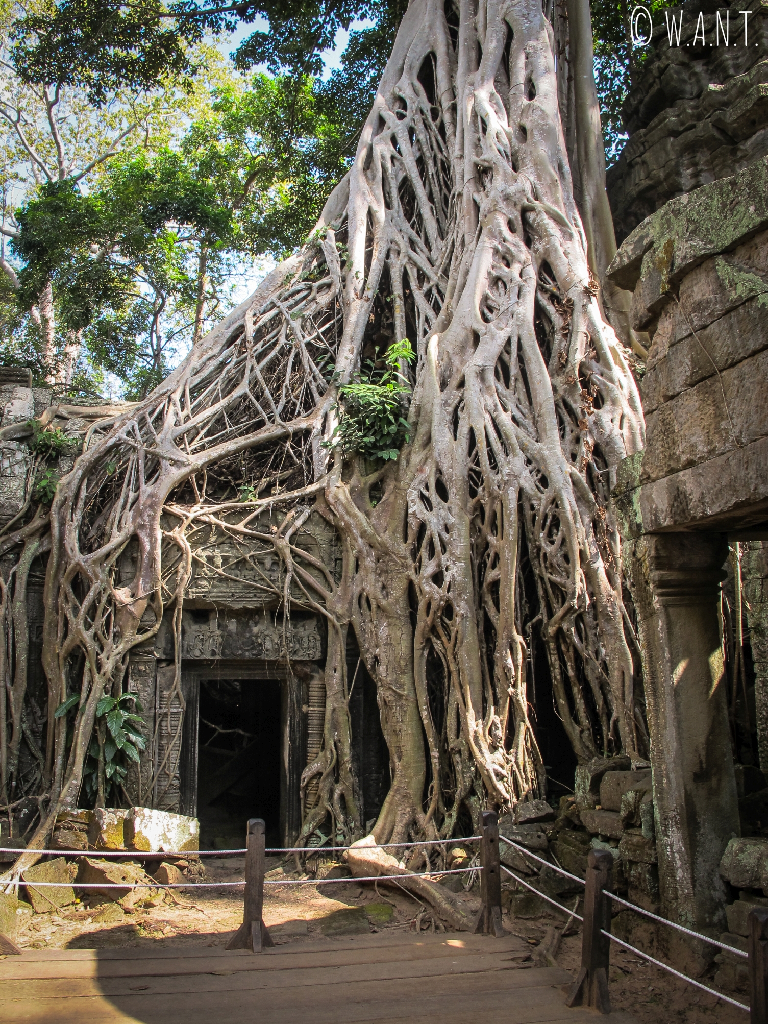 Célèbre porte du temple Ta Phrom à Angkor
