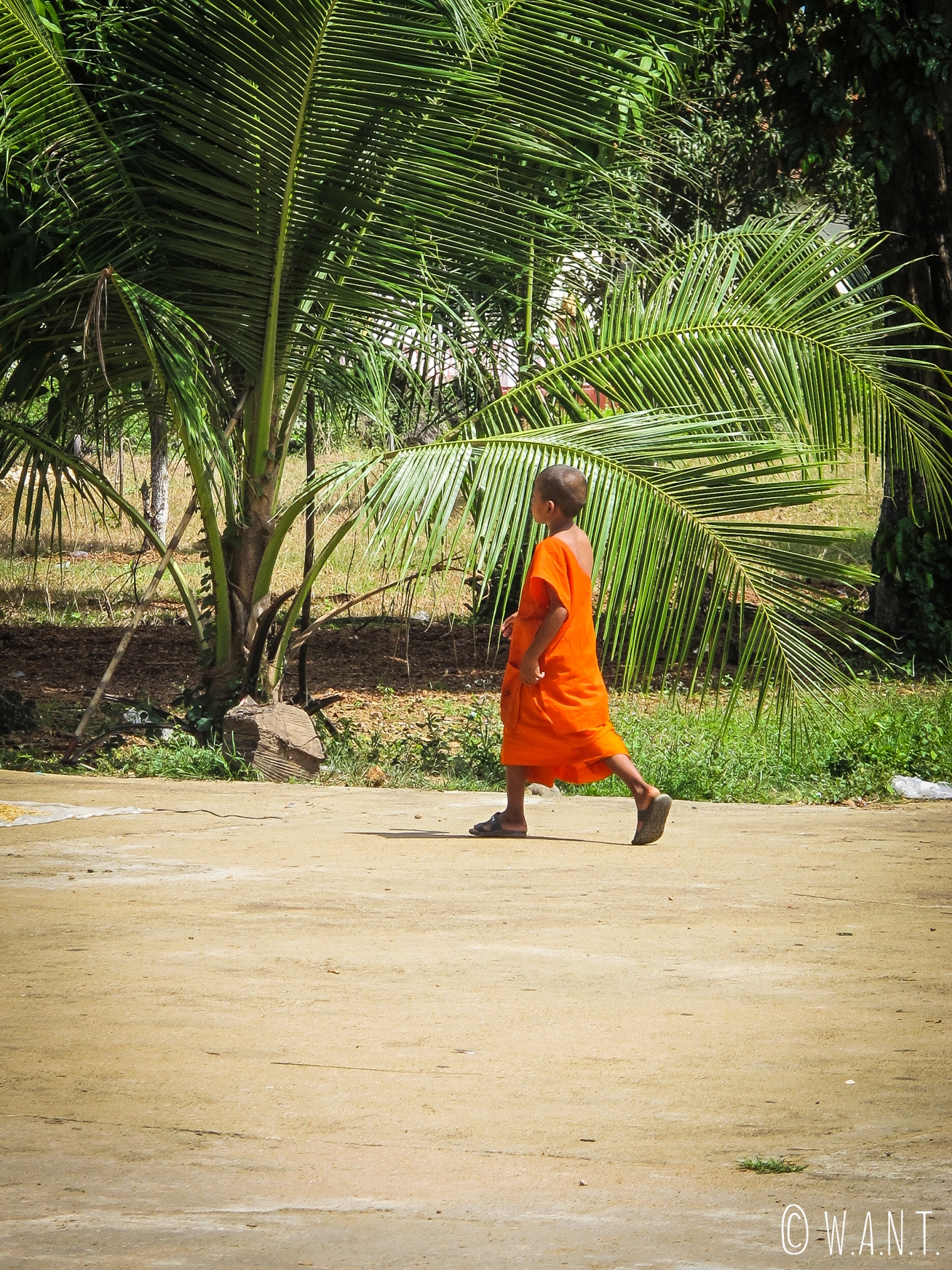 Jeune moine sur la route entre Kratie et Kampi