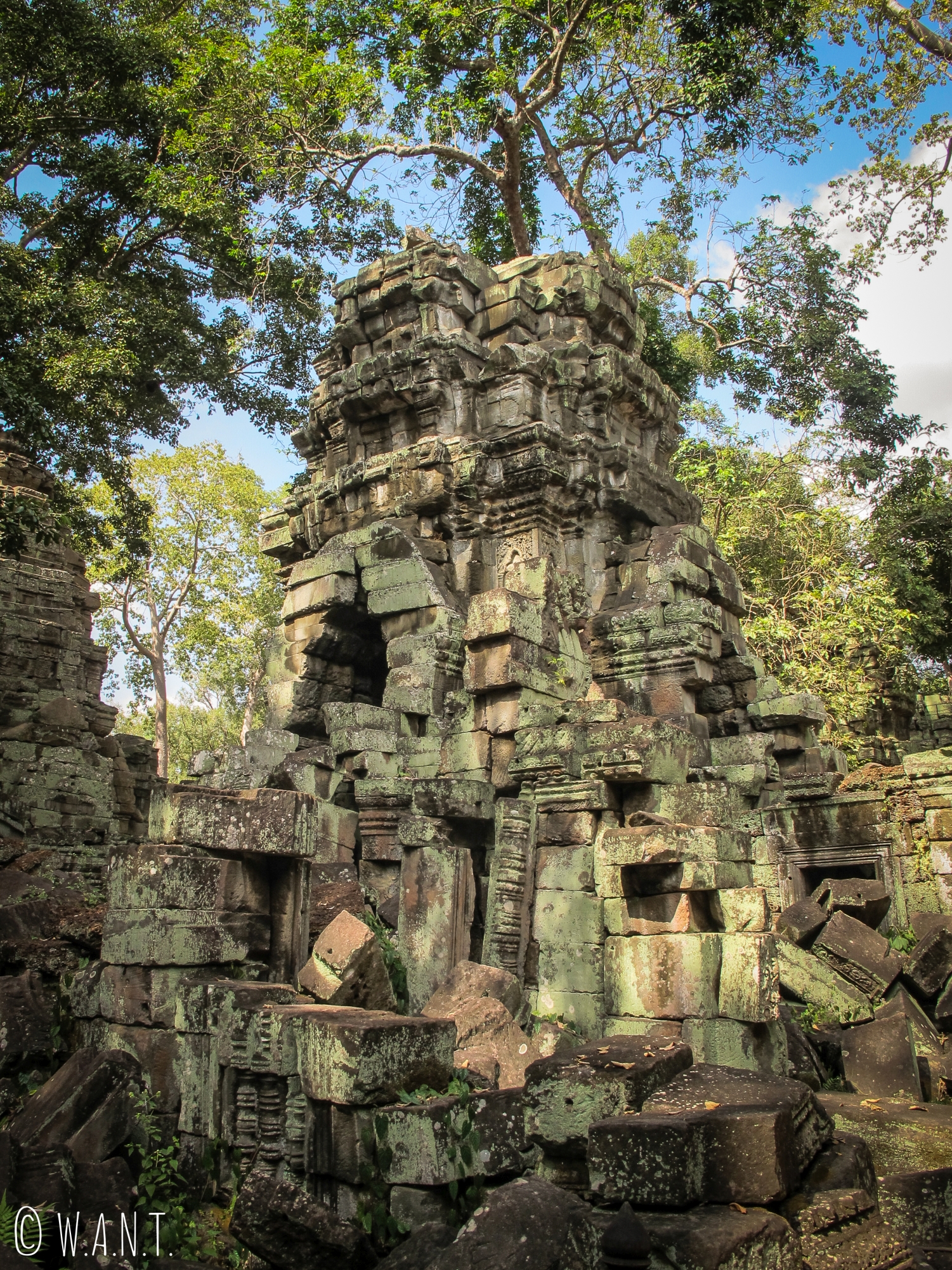 Ruines du temple Ta Phrom à Angkor