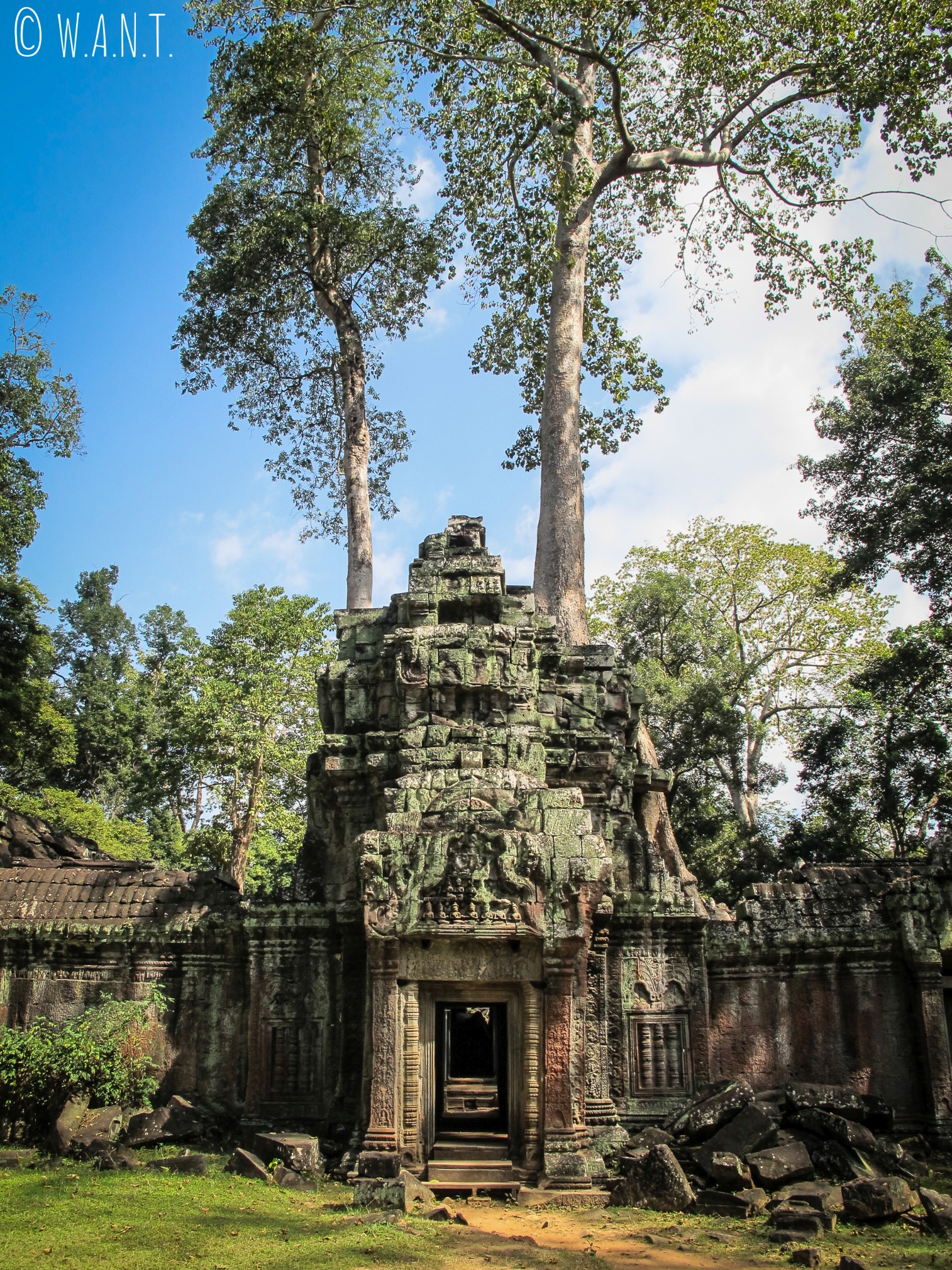 Tour du temple Ta Phrom sur le site archéologique d'Angkor