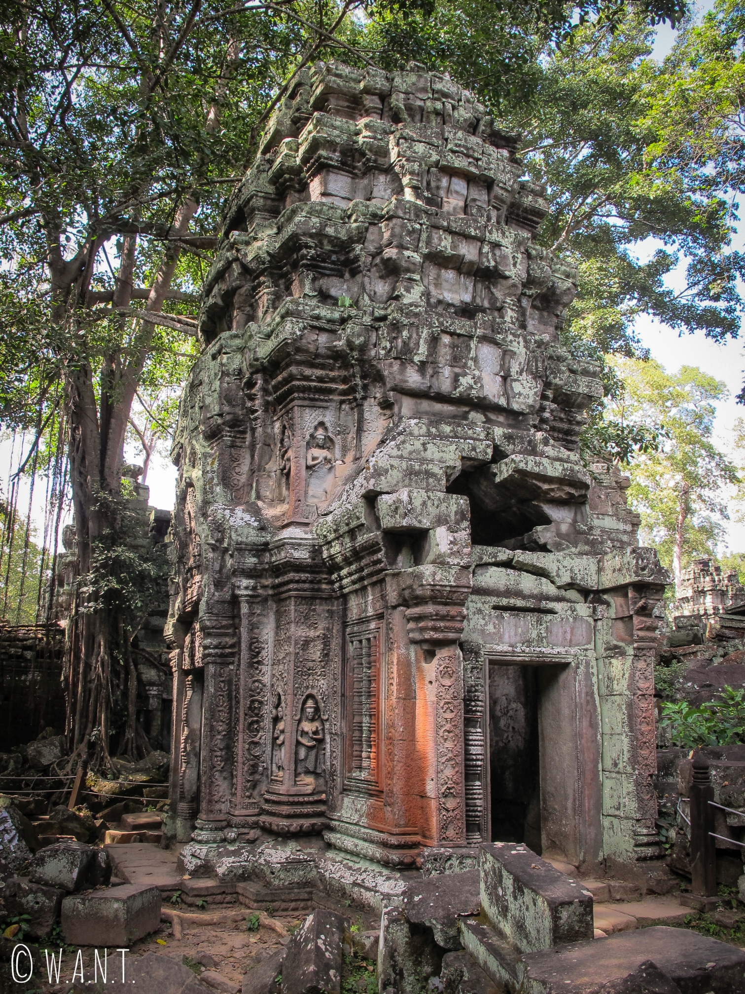 Tour du temple Ta Phrom à Angkor