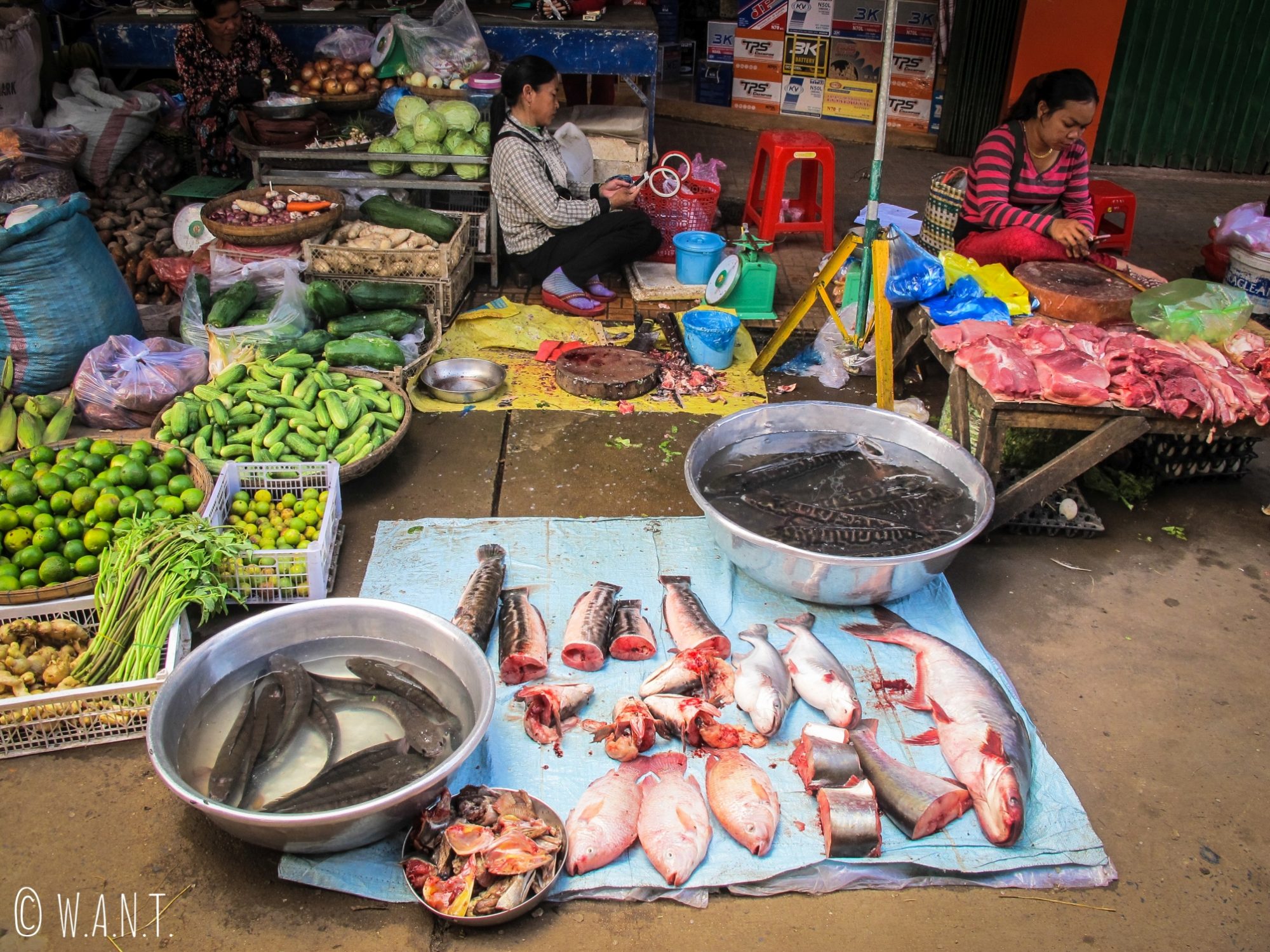 Étal de poissons sur le marché de Kratie