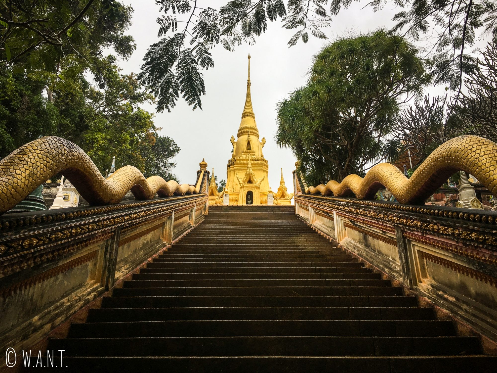 Escaliers et stupa doré au Wat Sila Ngu sur l'île de Koh Samui