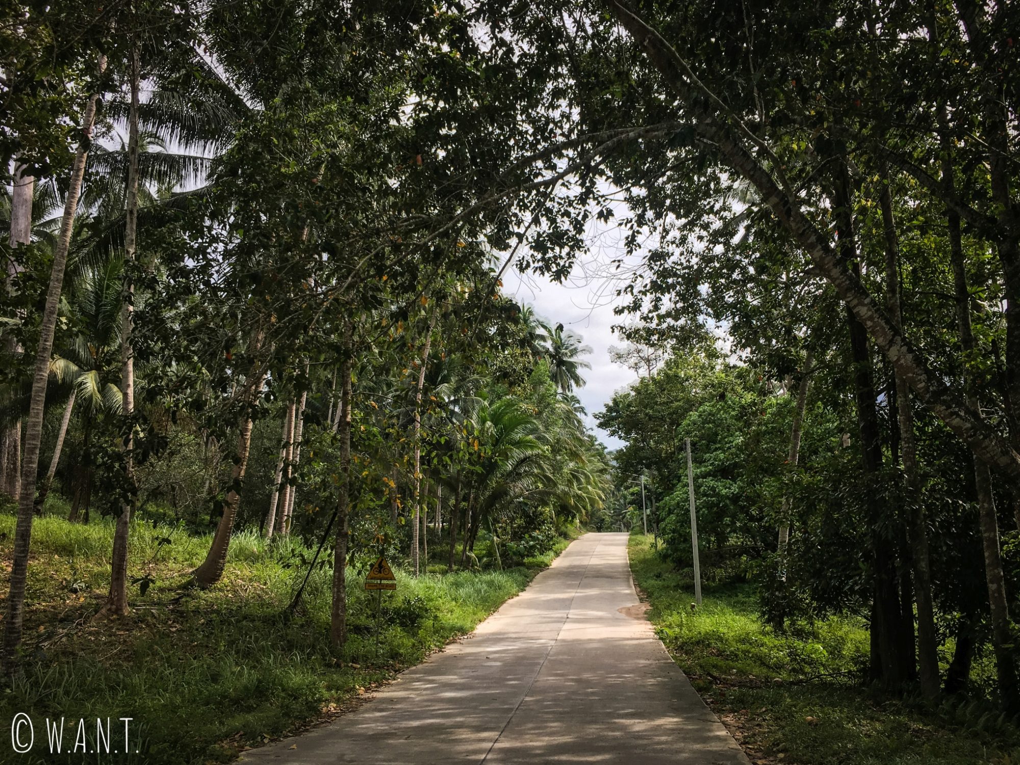 Route sauvage au centre l'île de Koh Samui