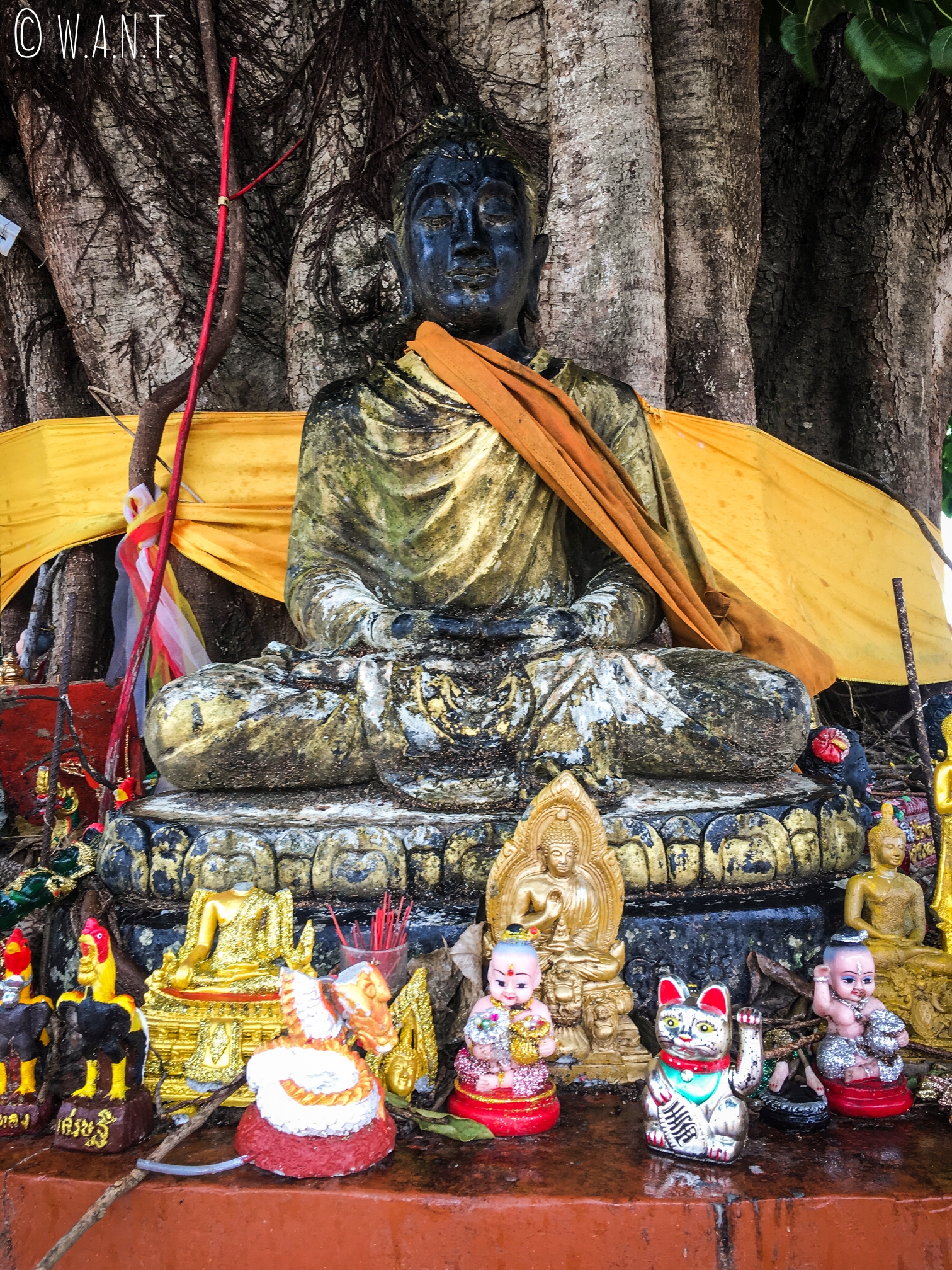 Statue de Bouddha au Wat Sila Ngu sur l'île de Koh Samui