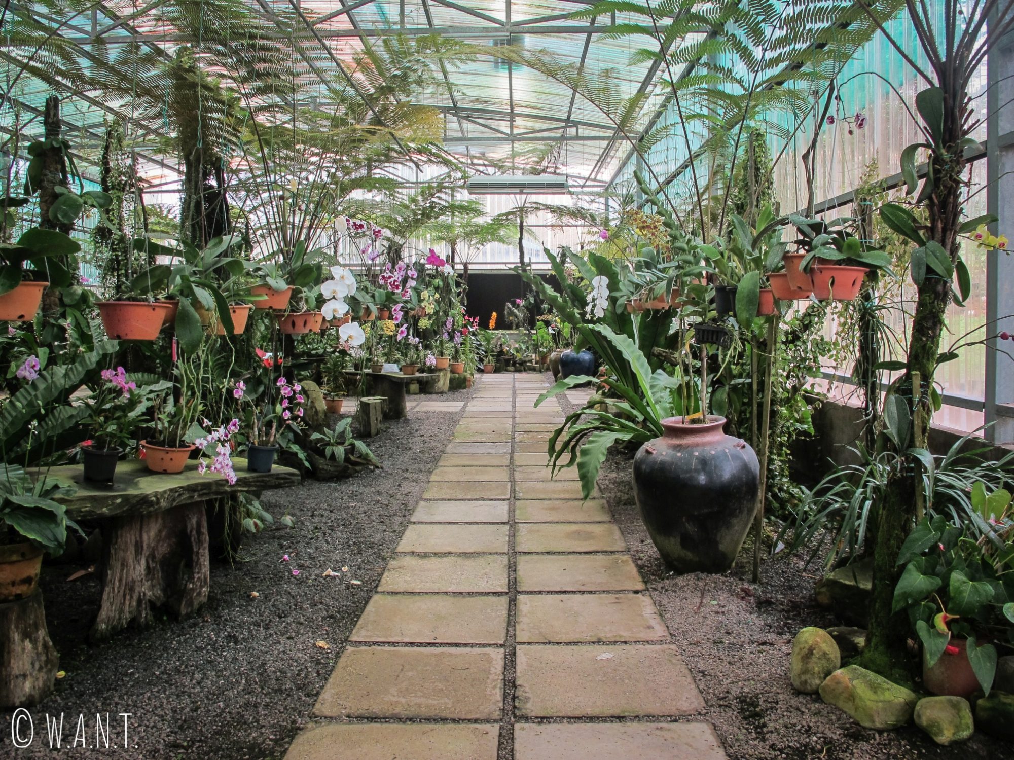 Allée de la serre de l'Orchid Garden de Kuching