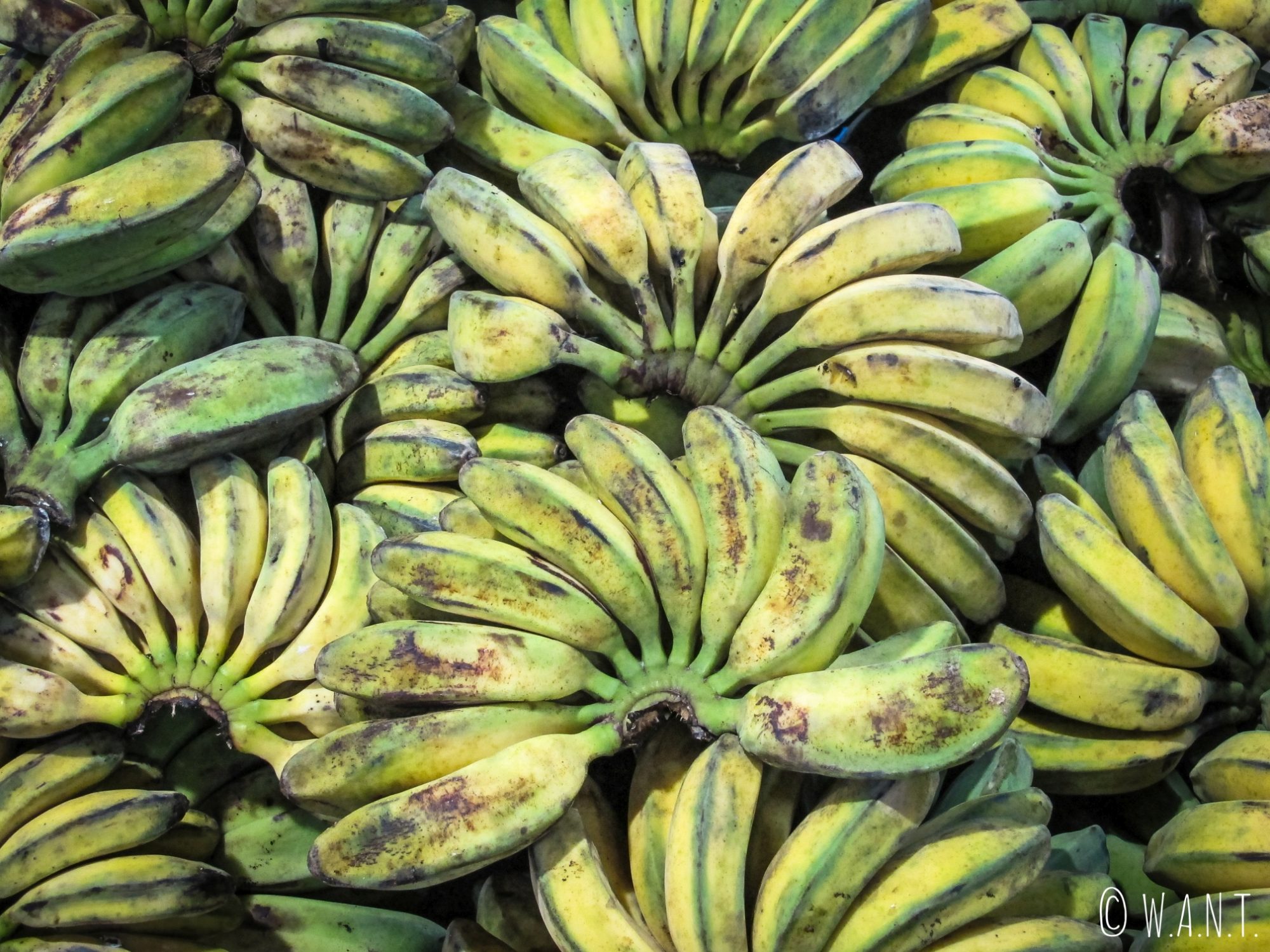 Bananes au marché Kianggeh de Bandar Seri Begawan