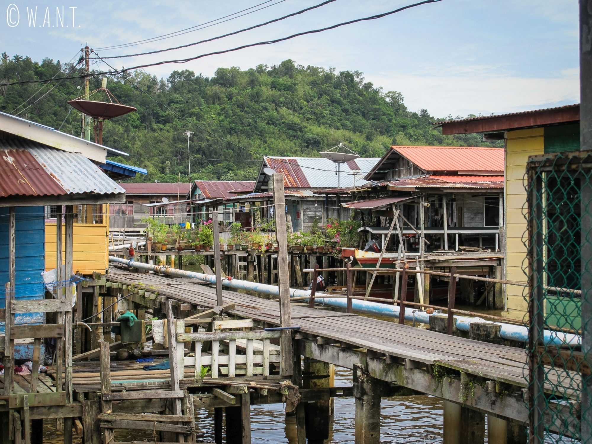Habitations en bois au village flottant de Kampong Ayer à Bandar Seri Begawan