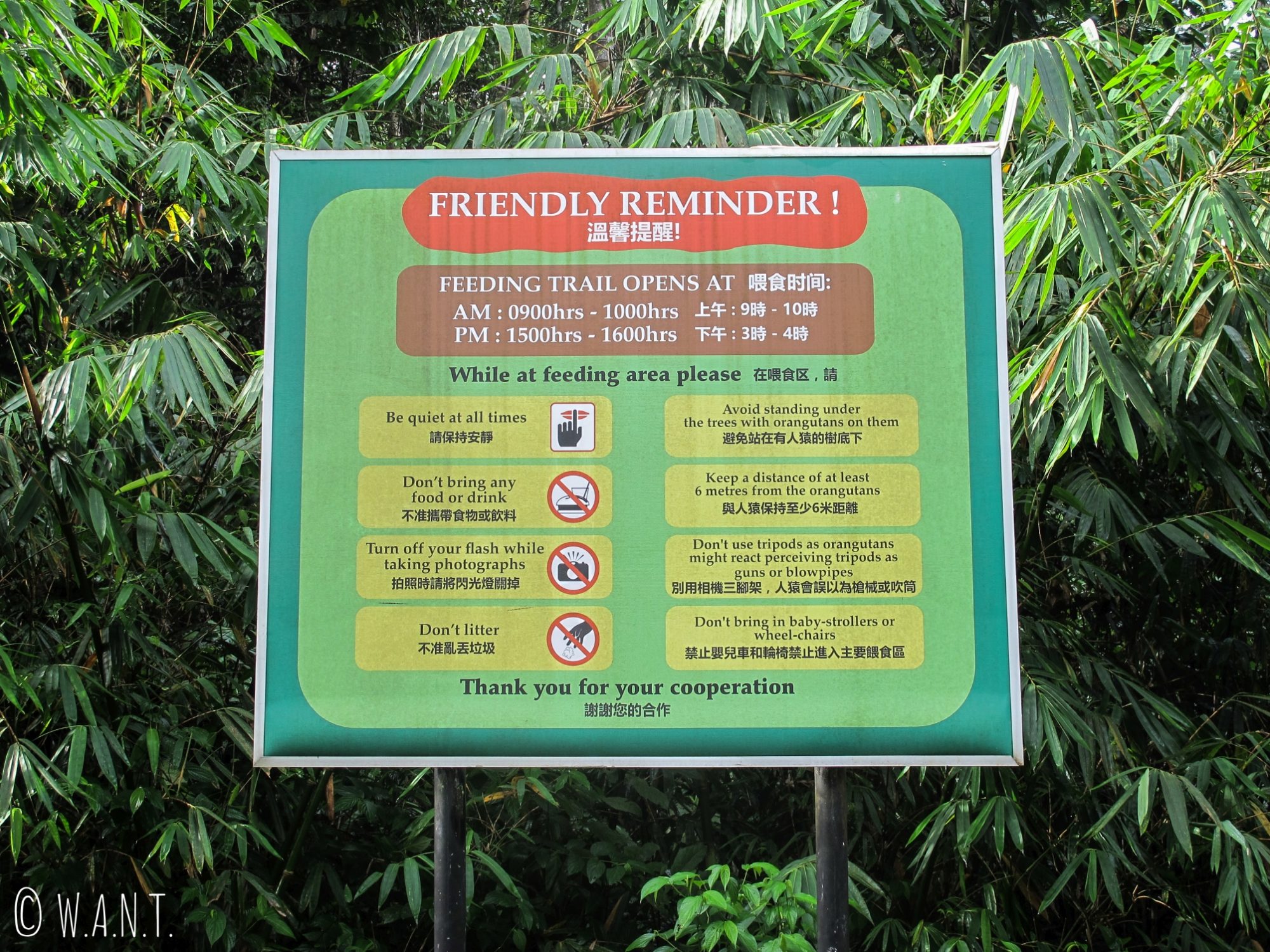 Horaires d'accès pour observer les orangs-outans au Semenggoh Nature Reserve
