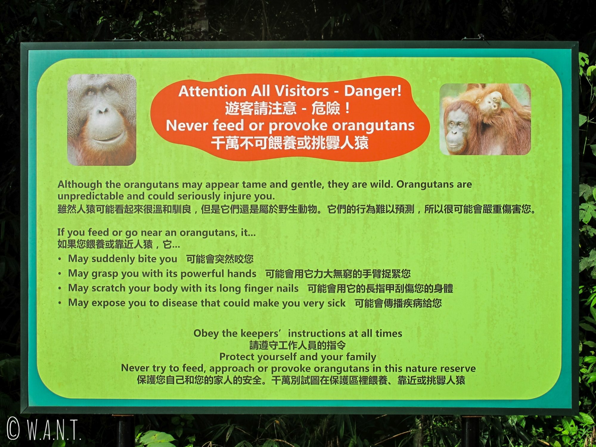 Instructions au Semenggoh Nature Reserve de Kuching