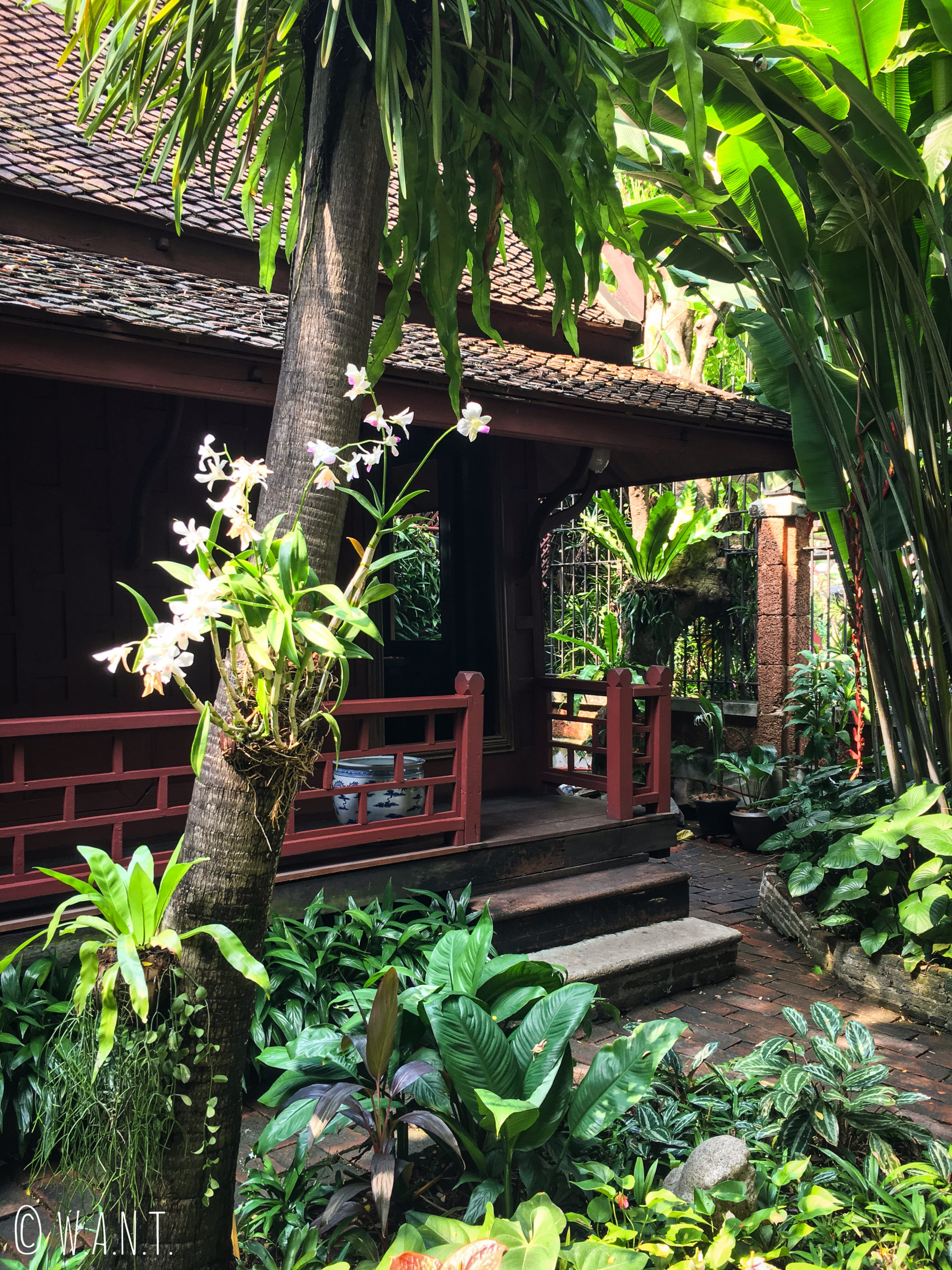 Jardin de la maison de Jim Thompson à Bangkok