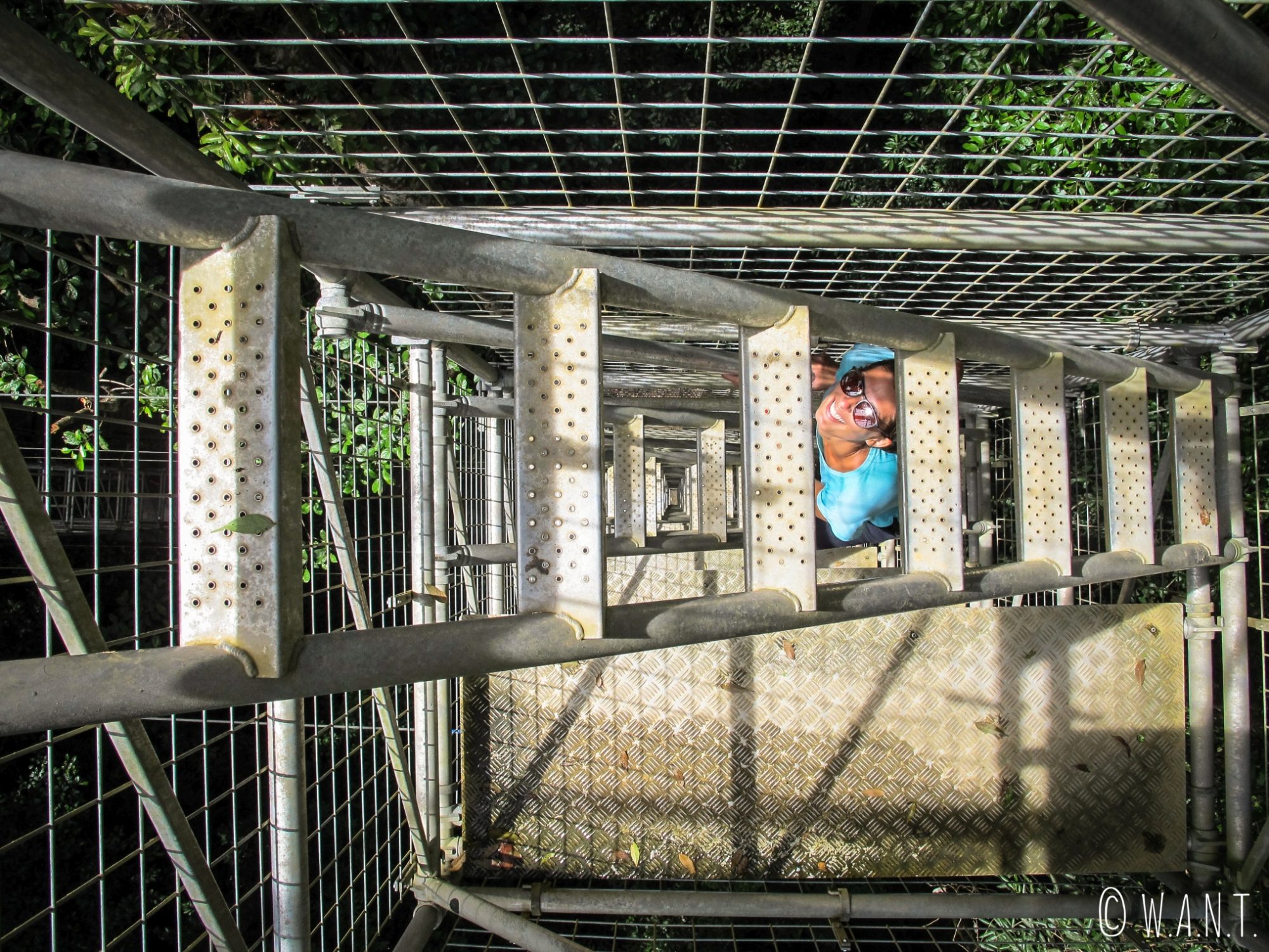 Marion dans les escaliers menant à la canopée du Parc national Ulu Temburong au Brunei