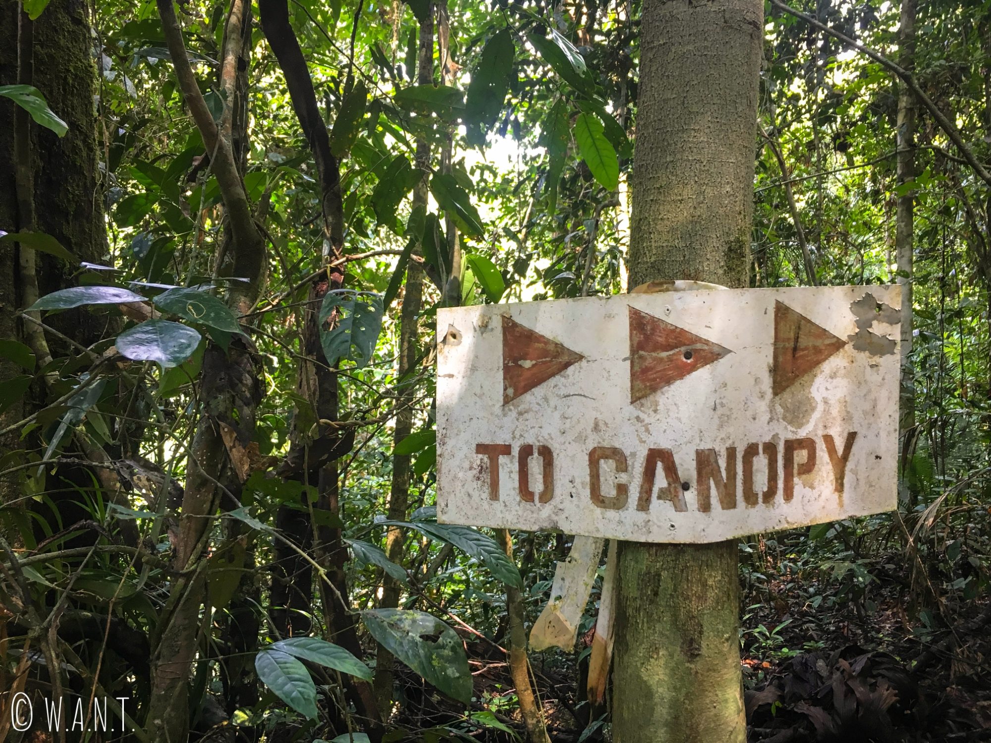 Panneau indiquant la direction de la canopée au Parc national Ulu Temburong au Brunei