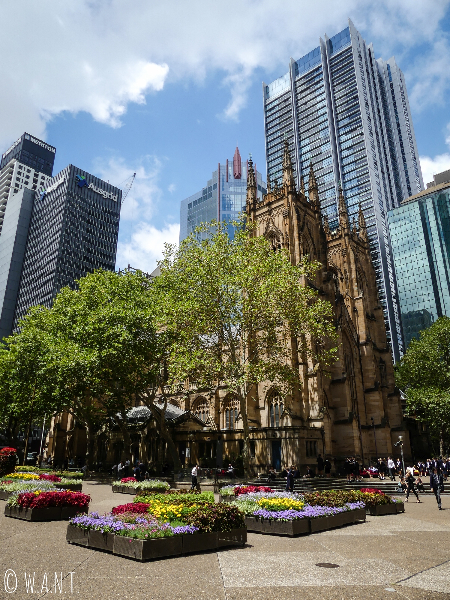 Cathédrale St Andrew à Sydney