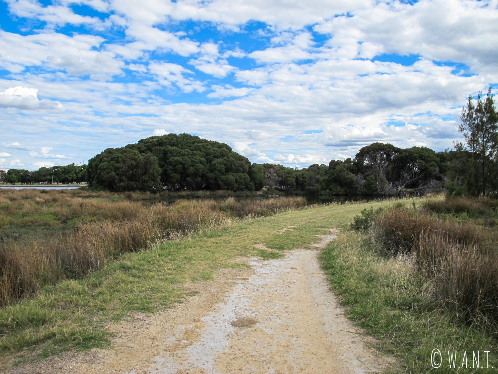 Chemin de promenade dans le parc d'Heirisson Island à Perth