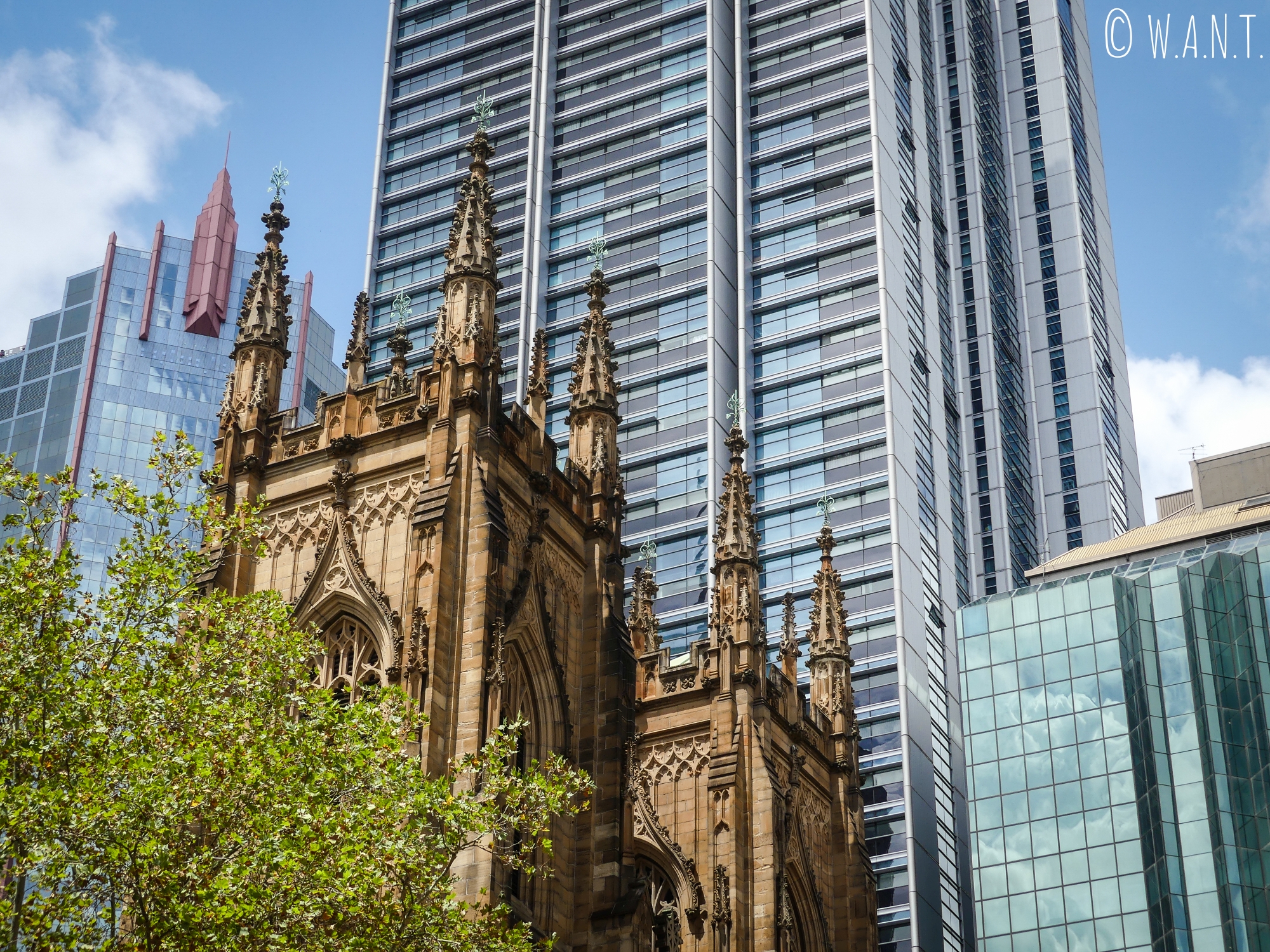 Gros plan sur la Cathédrale St Andrew de Sydney