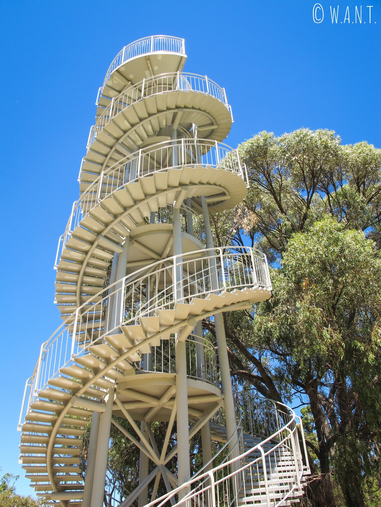 La Tour ADN, au coeur du Kings Park de Perth, offre une vue à 360 degrés de ce gigantesque parc