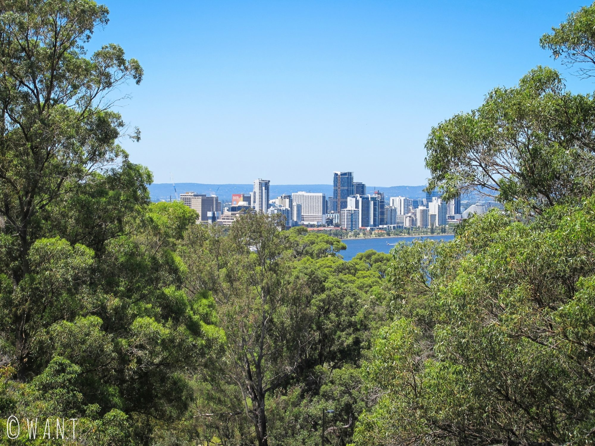 La skyline de Perth apparaît au travers d'une forêt abondante au Kings Park